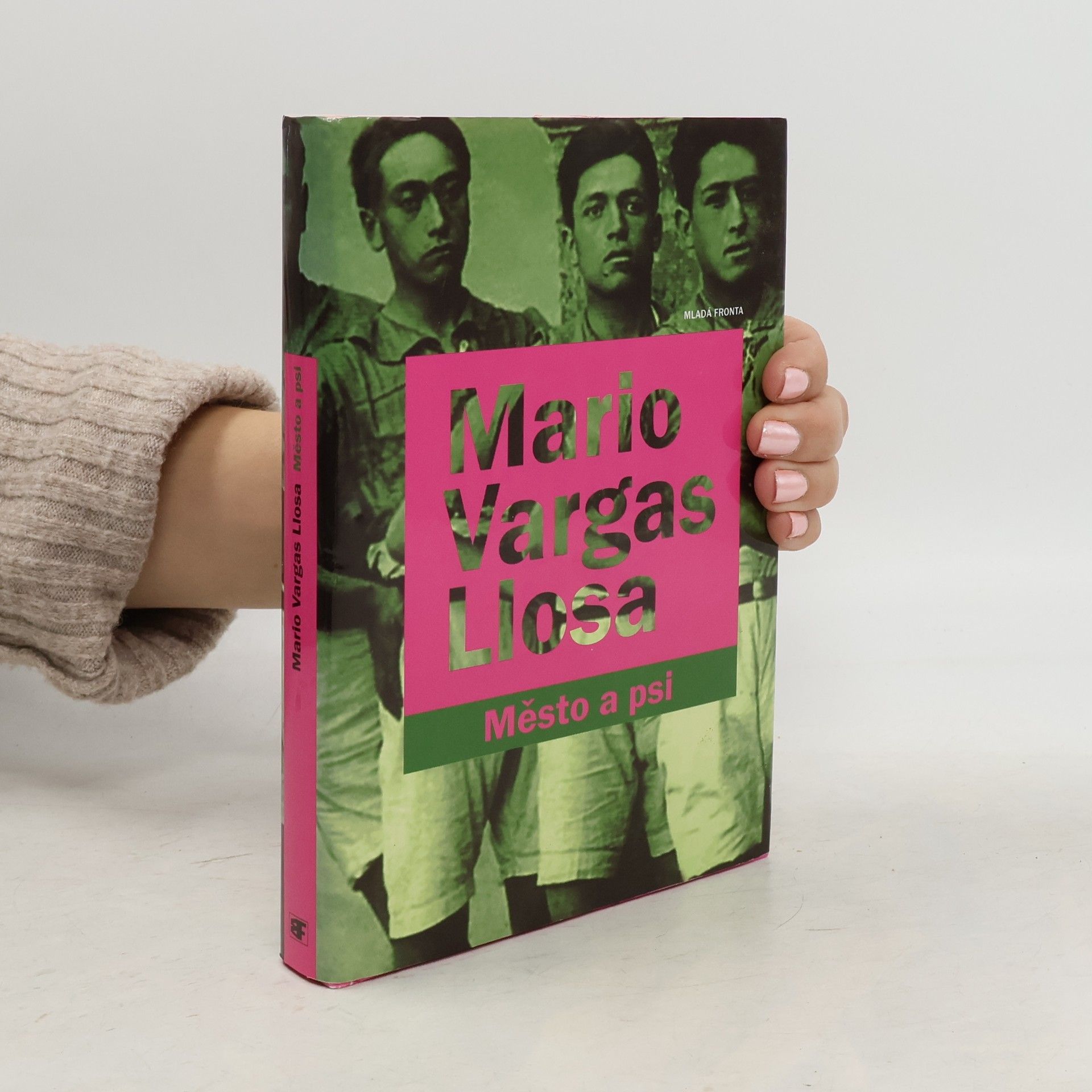 Mario Vargas Llosa Město a psi