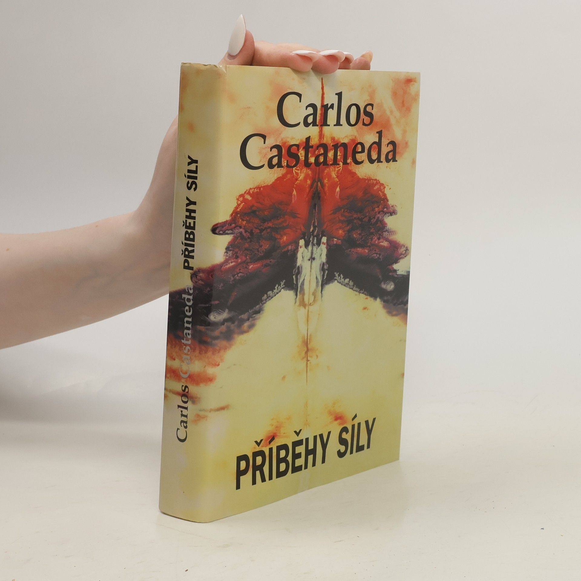 Carlos Castaneda Příběhy síly