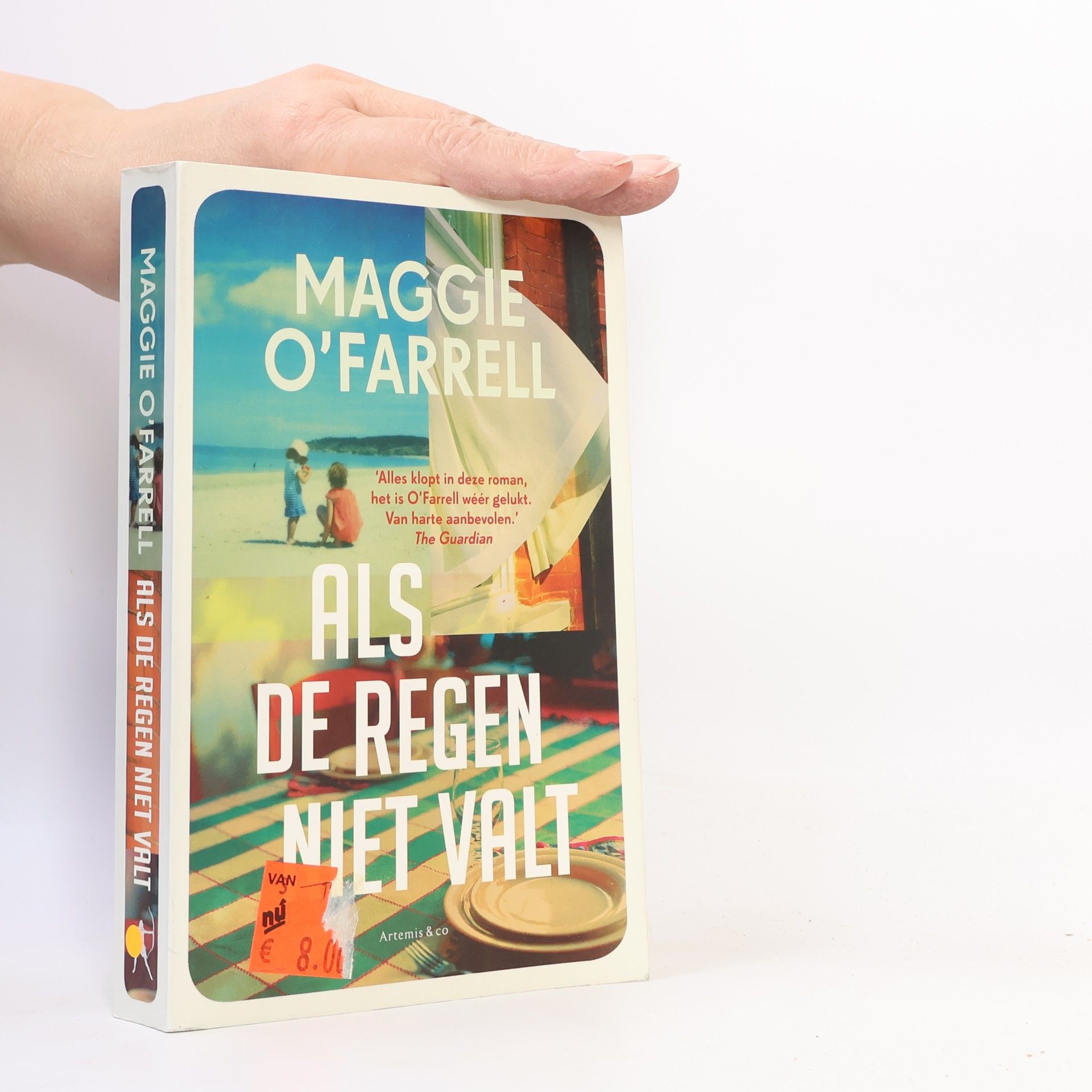 Maggie O. Farrell Als de regen niet valt