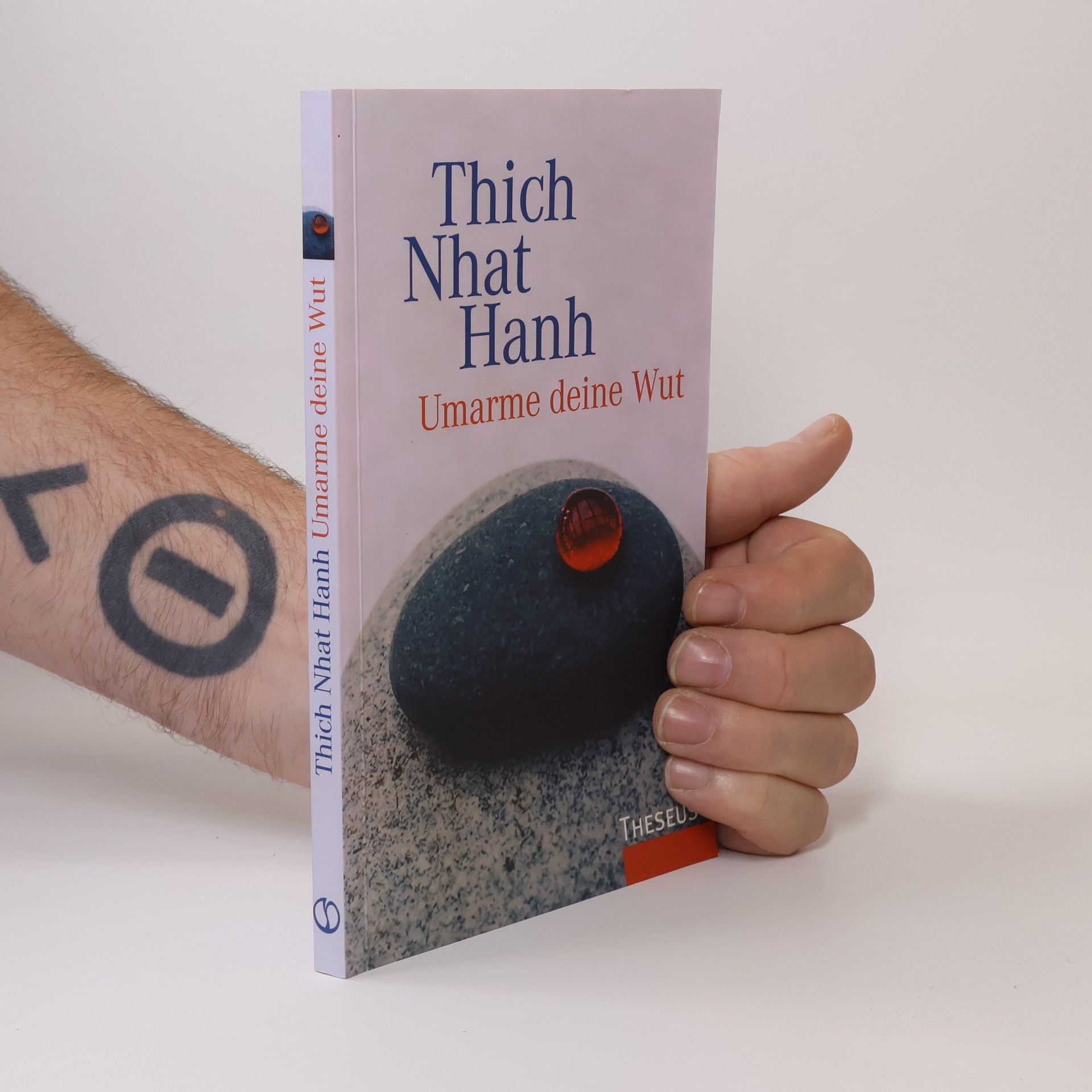 Thích Nhất Hạnh Umarme deine Wut