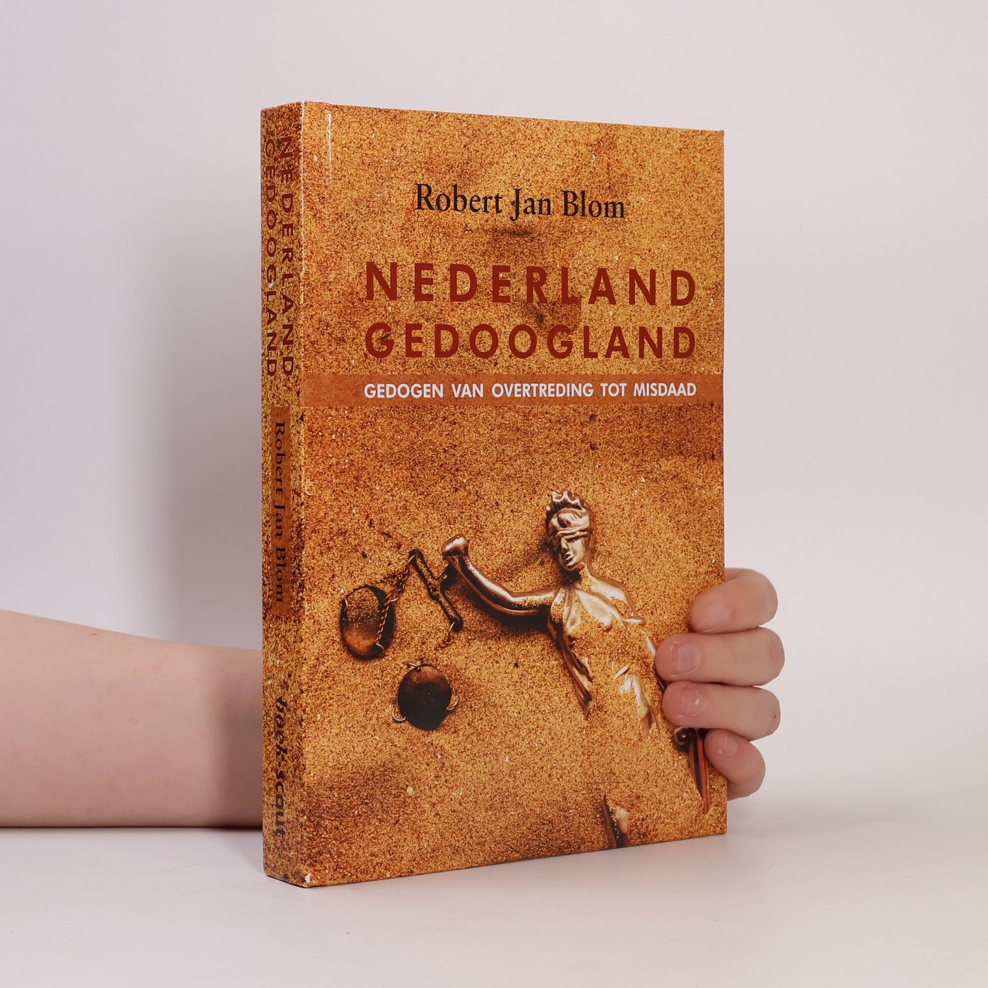 Robert Jan Blom Nederland Gedoogland