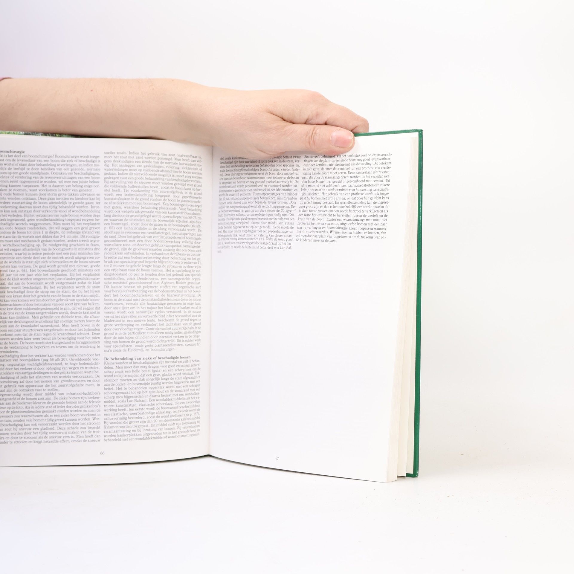 G. E. Brink Handboek snoeien