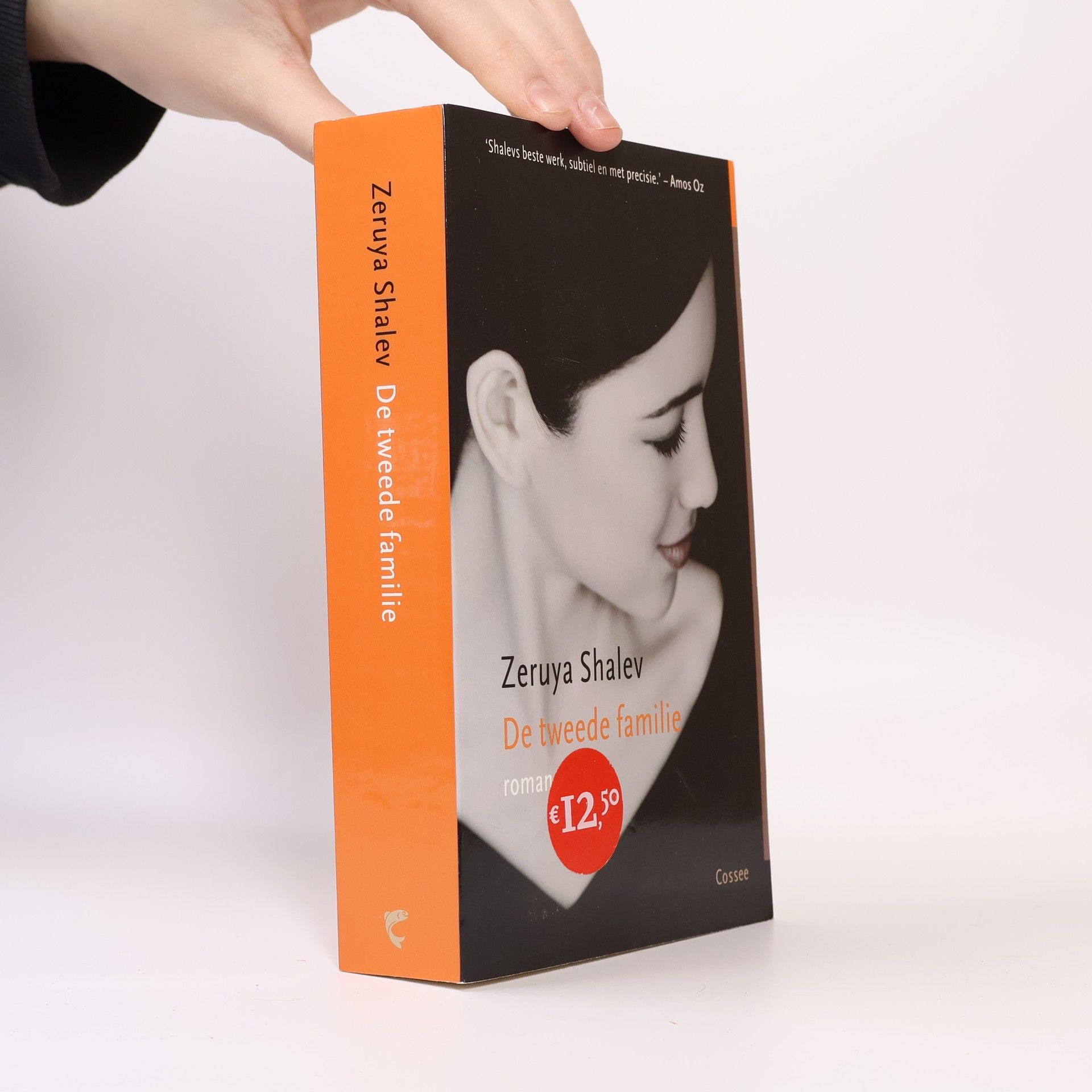Zeruya Shalev De tweede familie