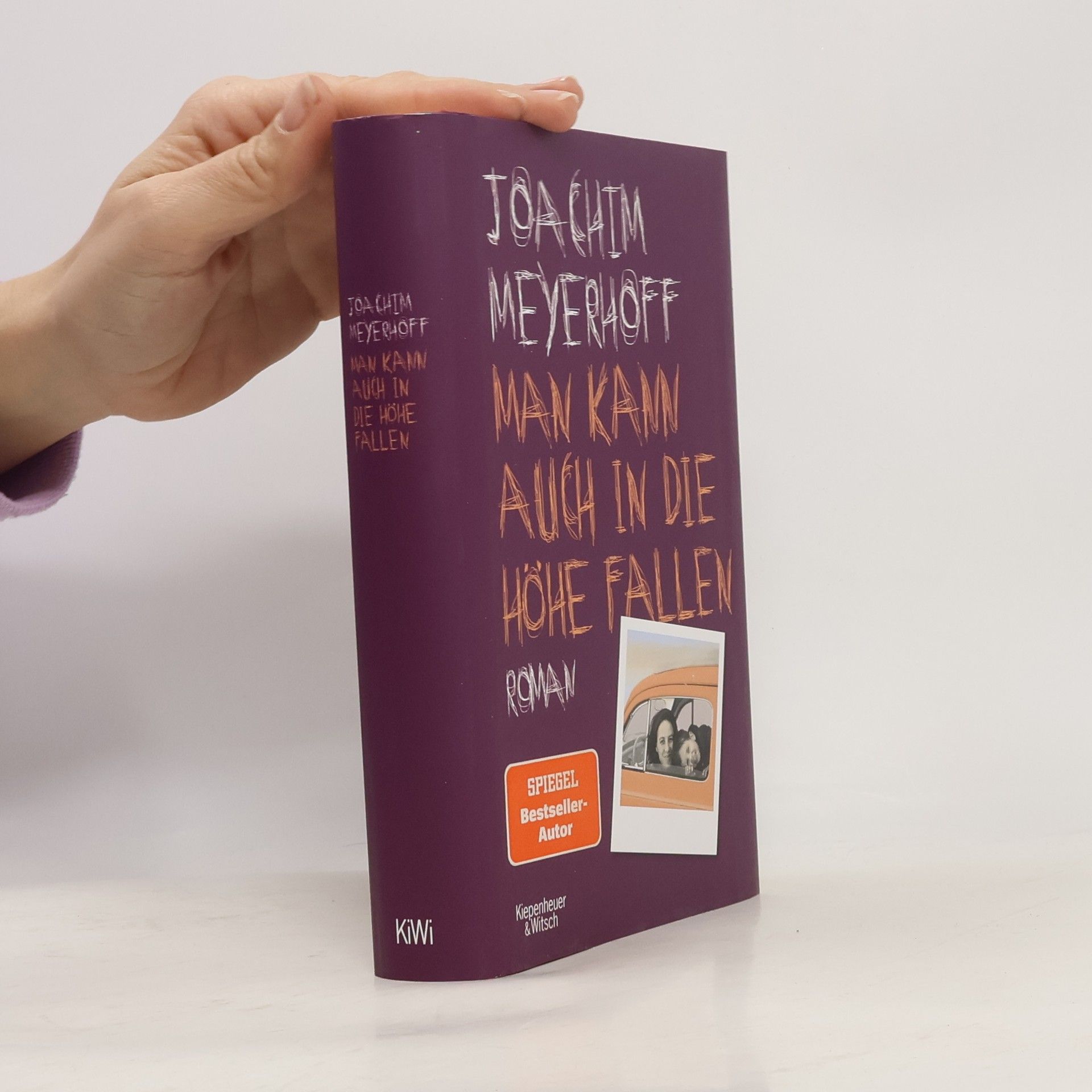 Joachim Meyerhoff Man kann auch in die Höhe fallen