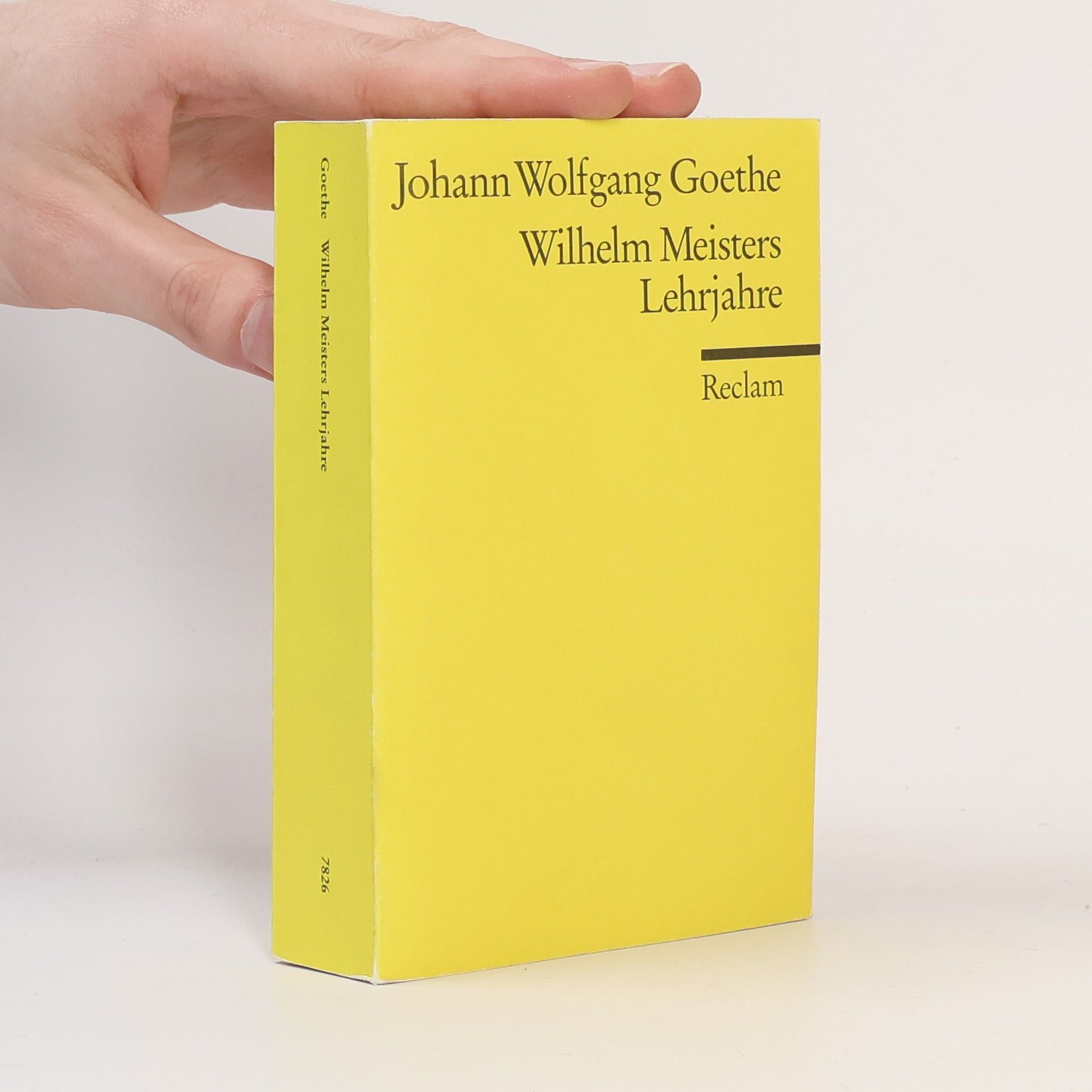 Johann Wolfgang von Goethe Wilhelm Meisters Lehrjahre