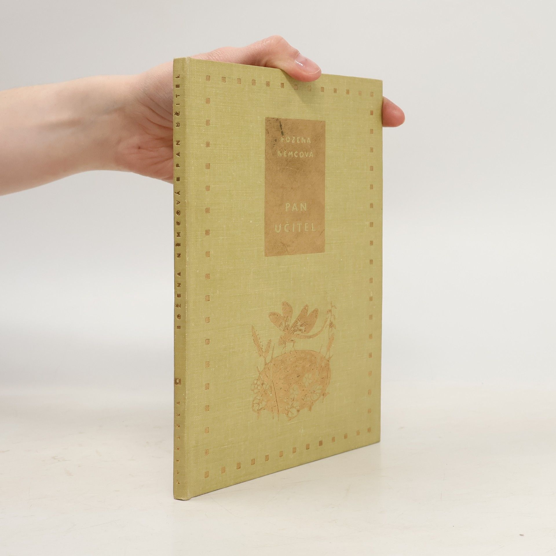 Božena Němcová Pan učitel