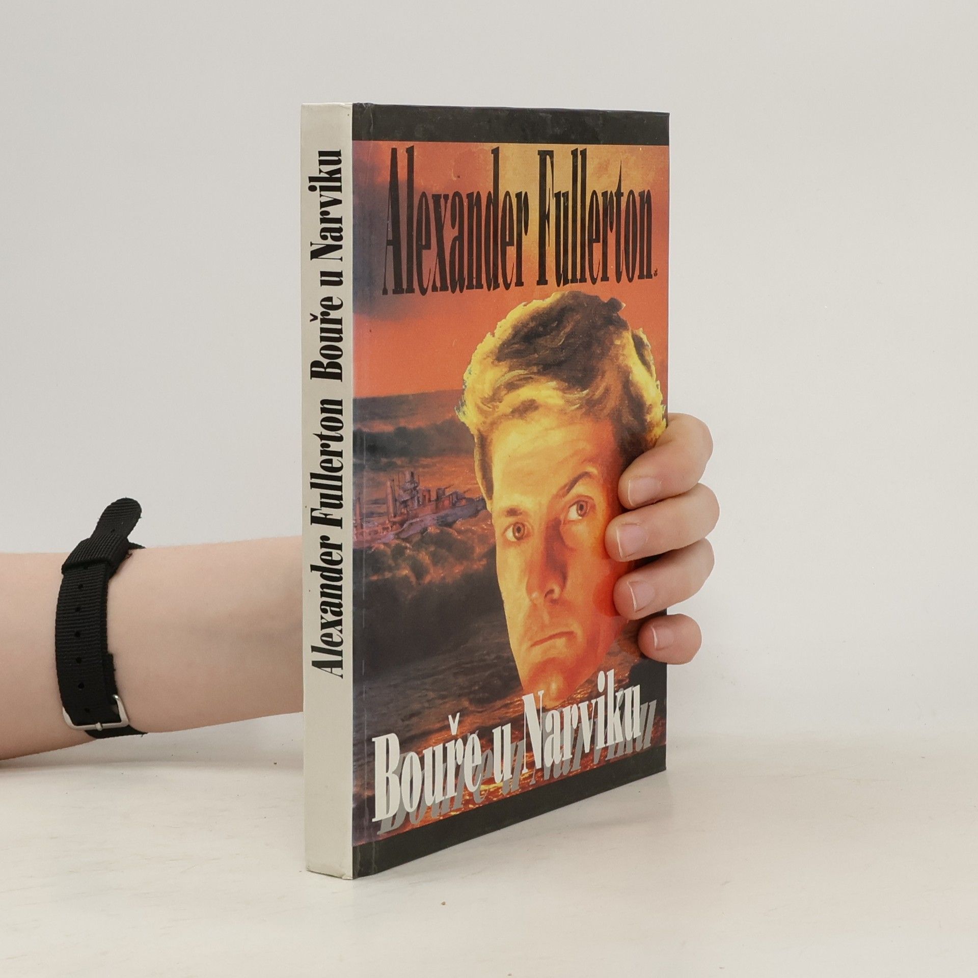 Alexander Fullerton Bouře u Narviku