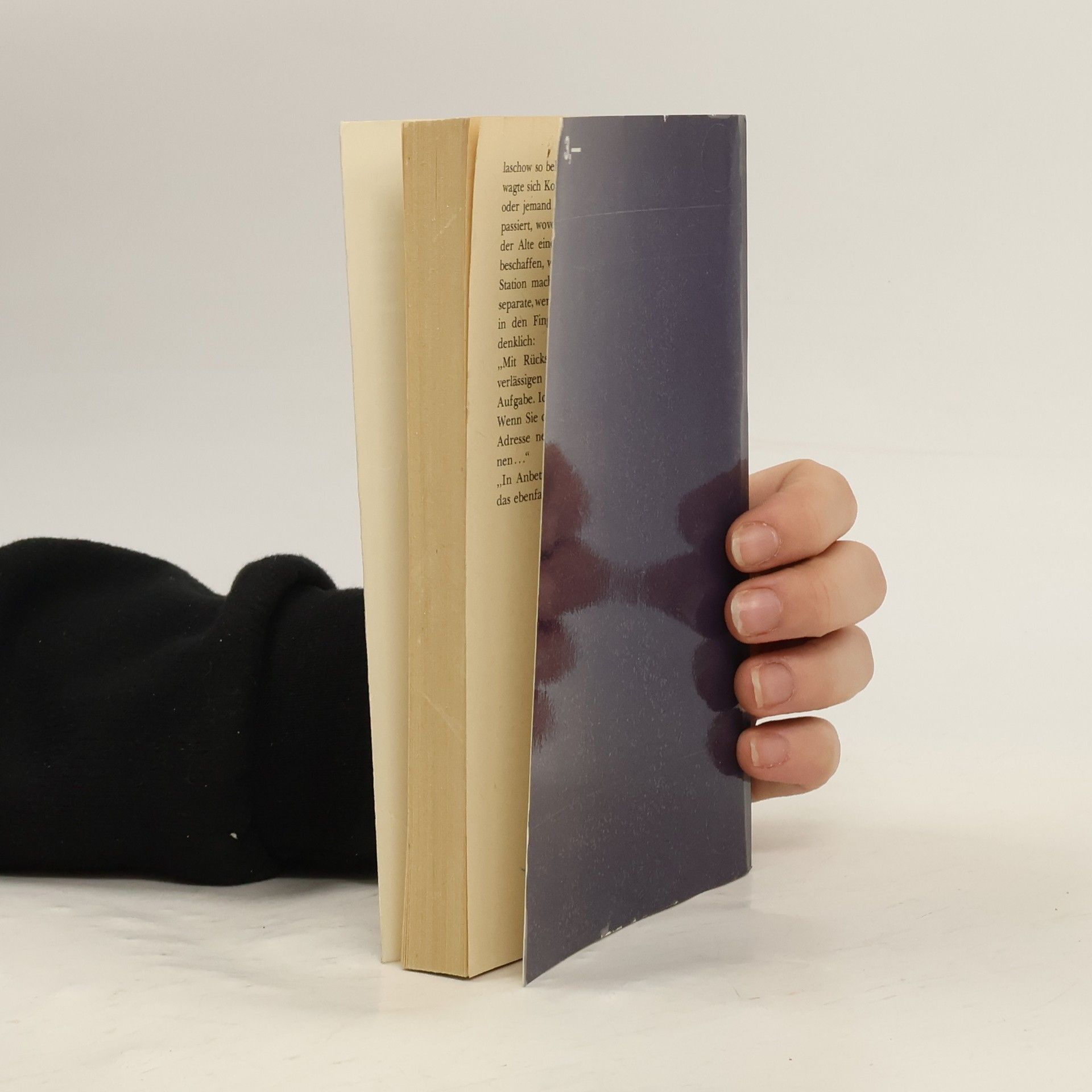 Christa Johannsen Die Schattenwand