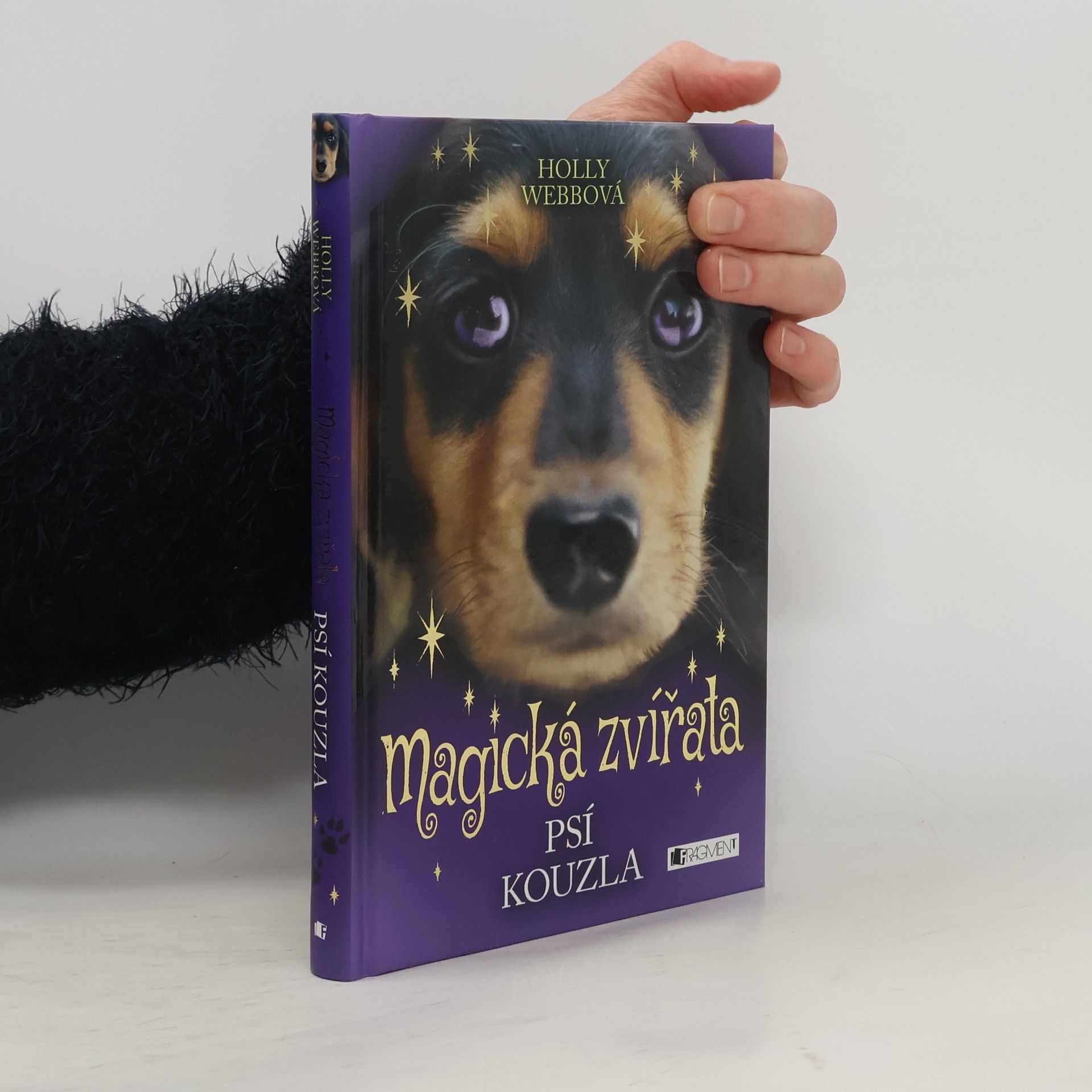 Holly Webb Magická zvířata. Psí kouzla