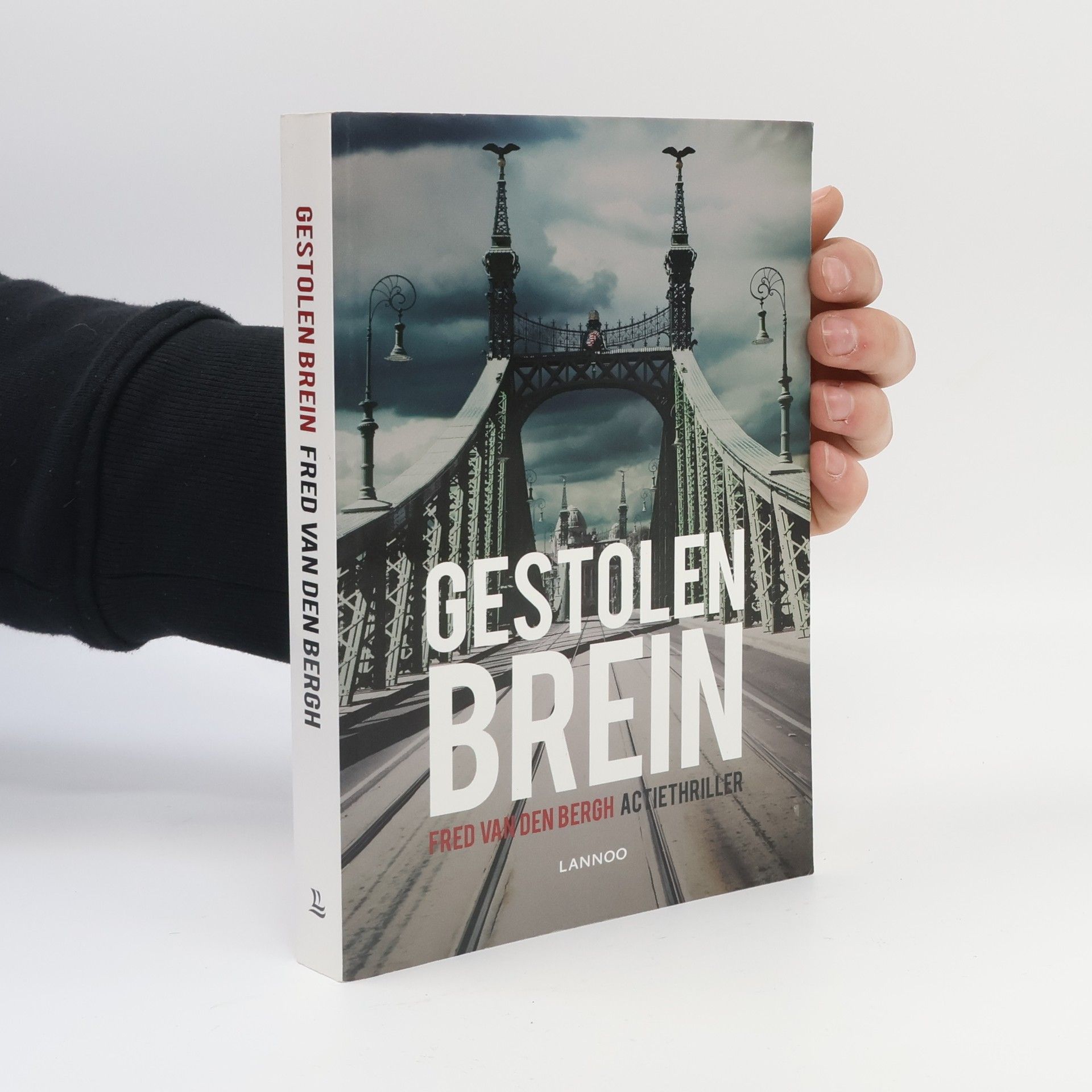 Fred Van den Bergh Gestolen brein