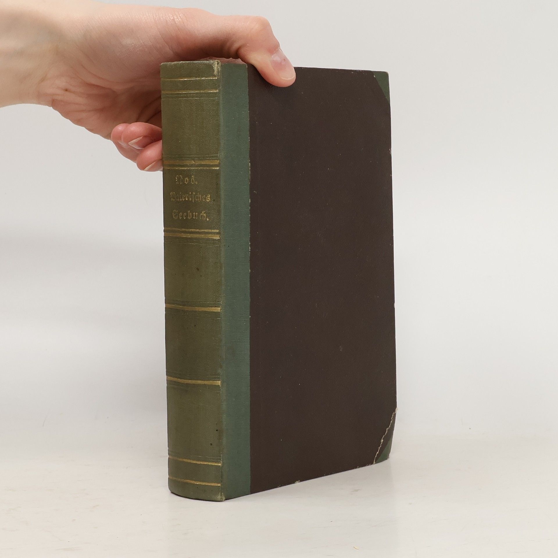 Heinrich Noë Baierisches Seebuch