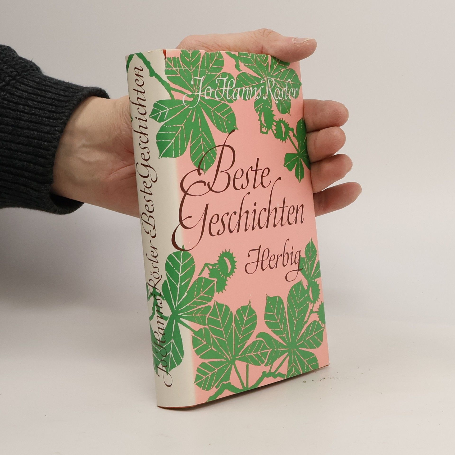 Jo Hanns Rösler Beste Geschichten