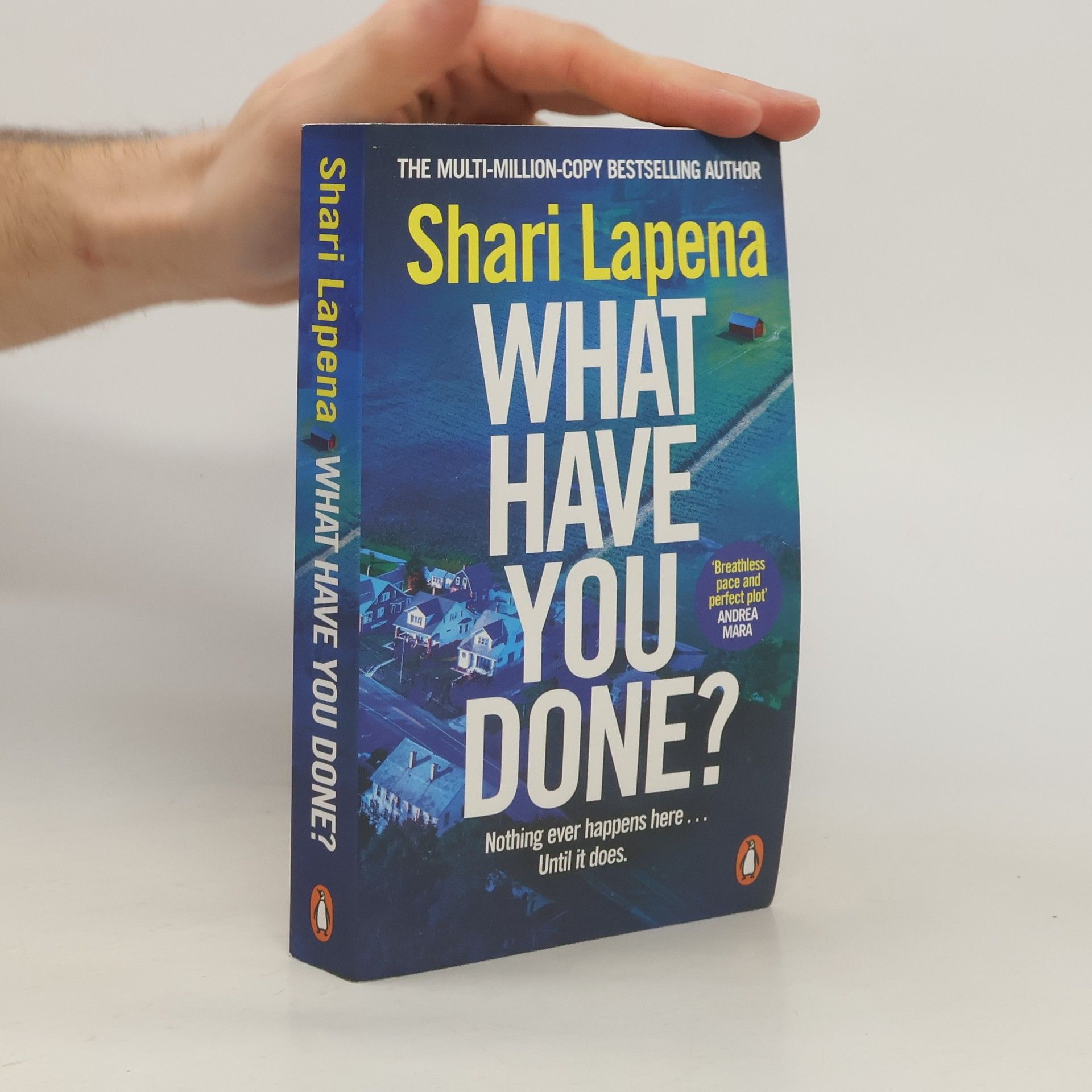 Shari Lapena What Have You Done?