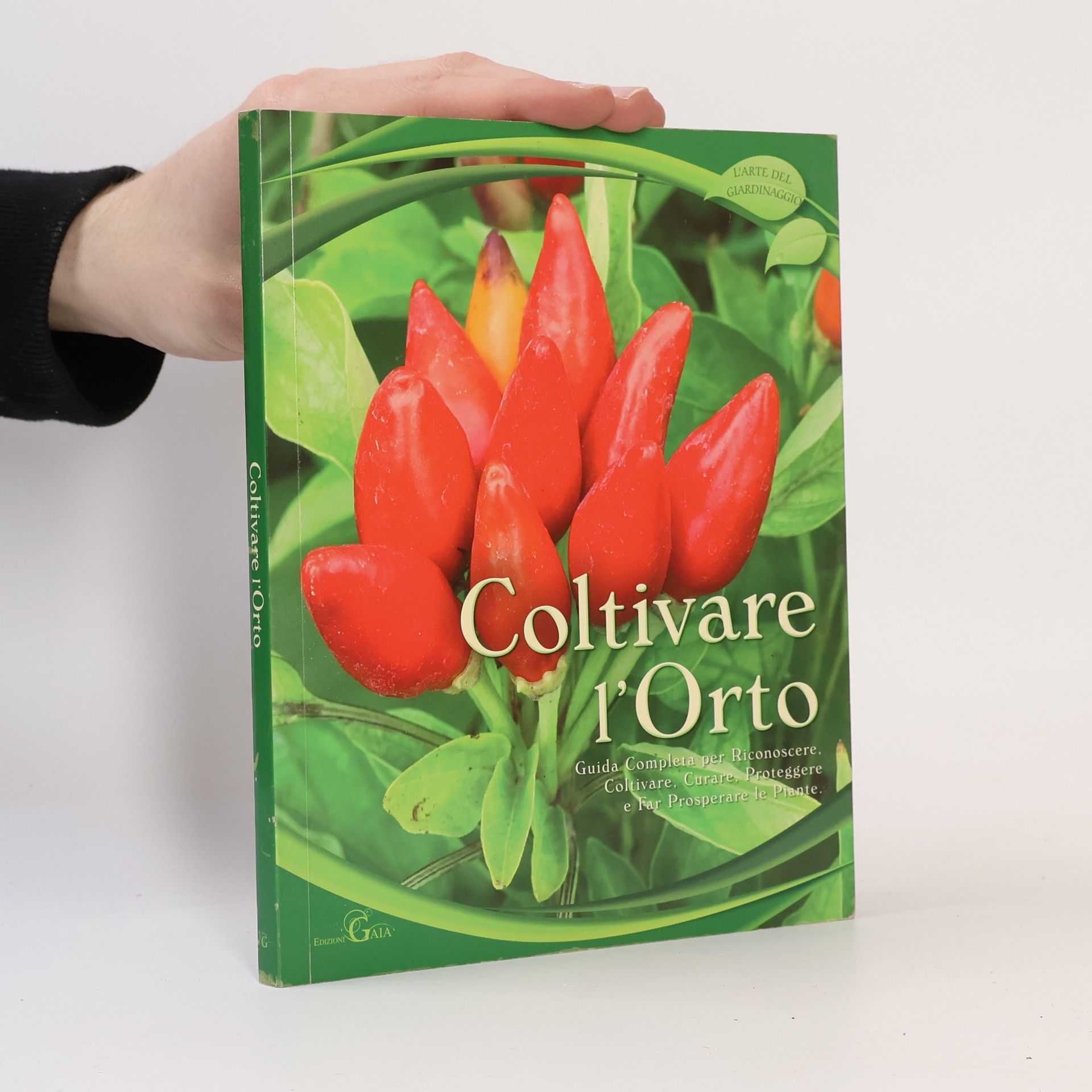 Autorenkollektiv Coltivare l'Orto