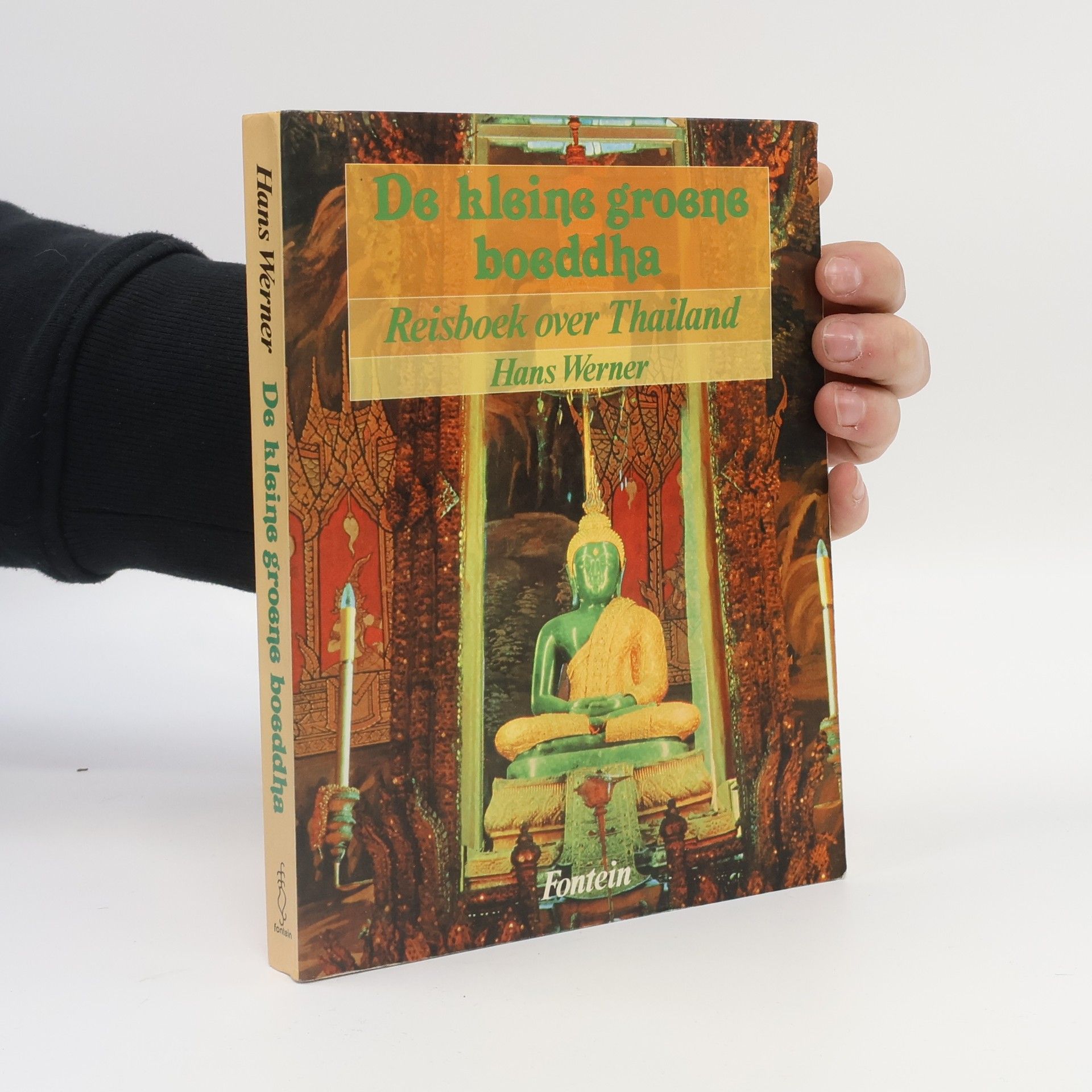 Hans-Werner Wahl De kleine groene Boeddha