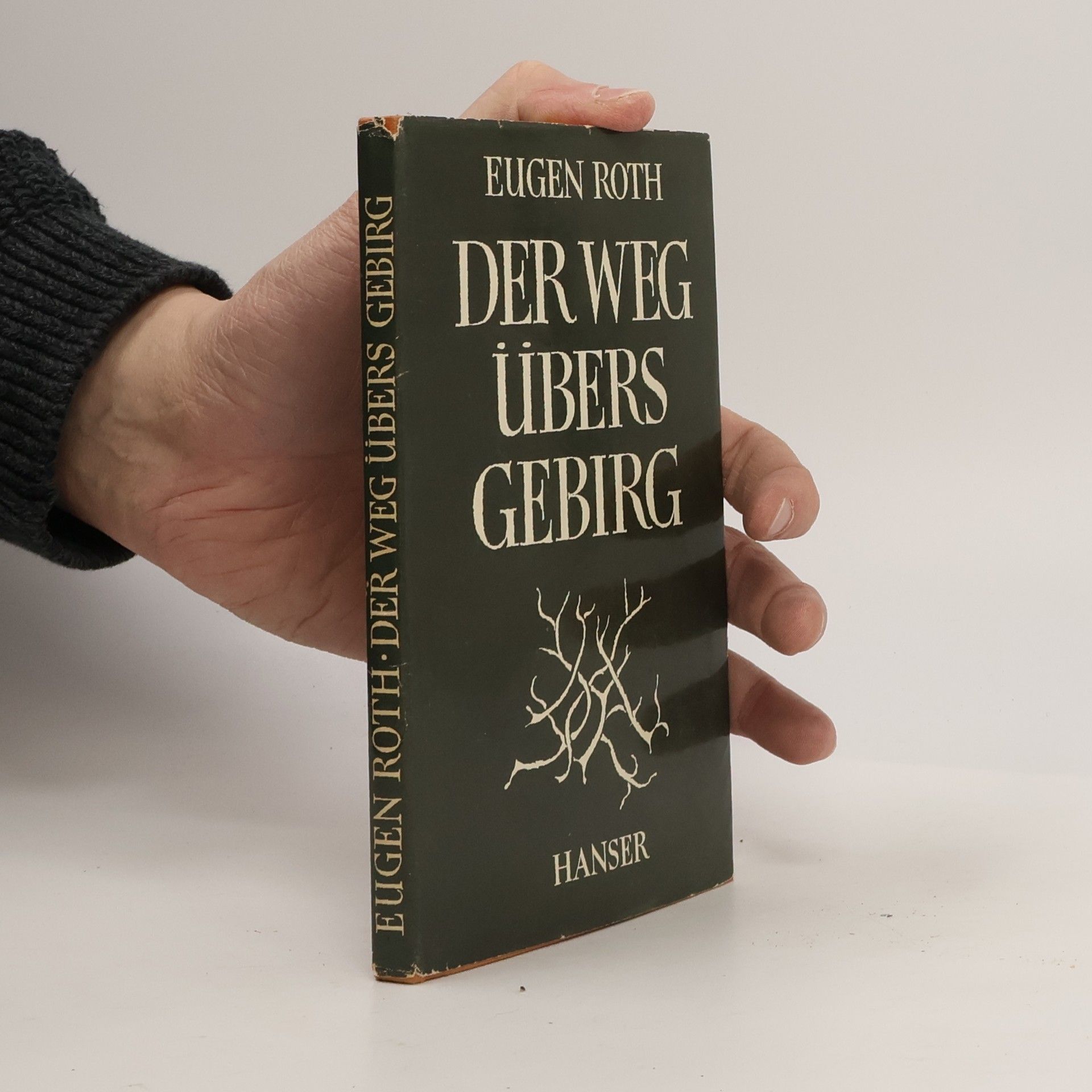 Eugen Roth Der Weg übers Gebirg