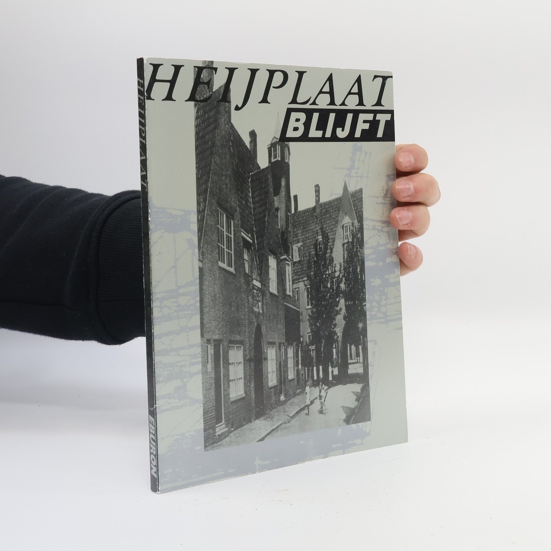 Theo Lalleman De Heijplaat blijft