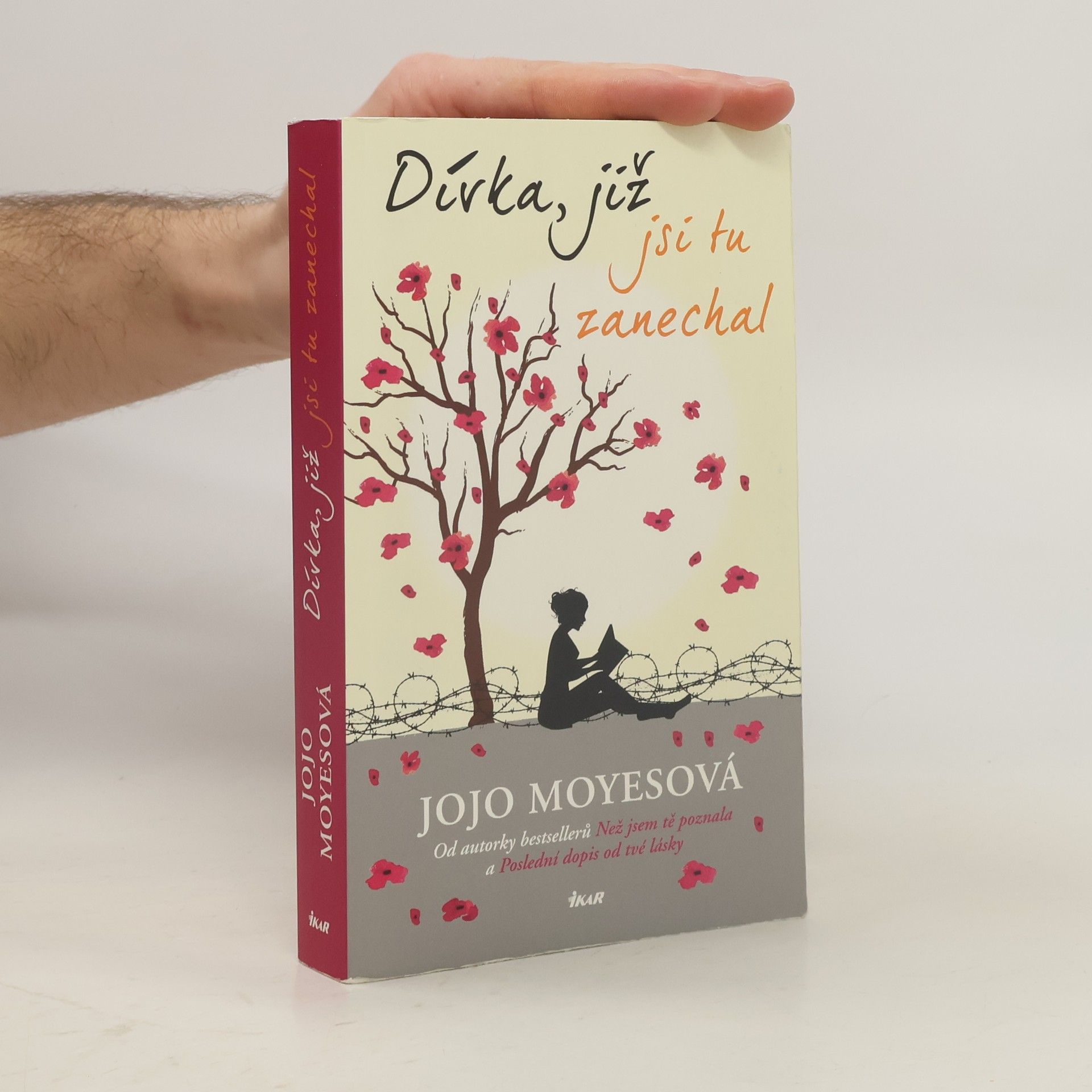 Jojo Moyesová Dívka, již jsi tu zanechal