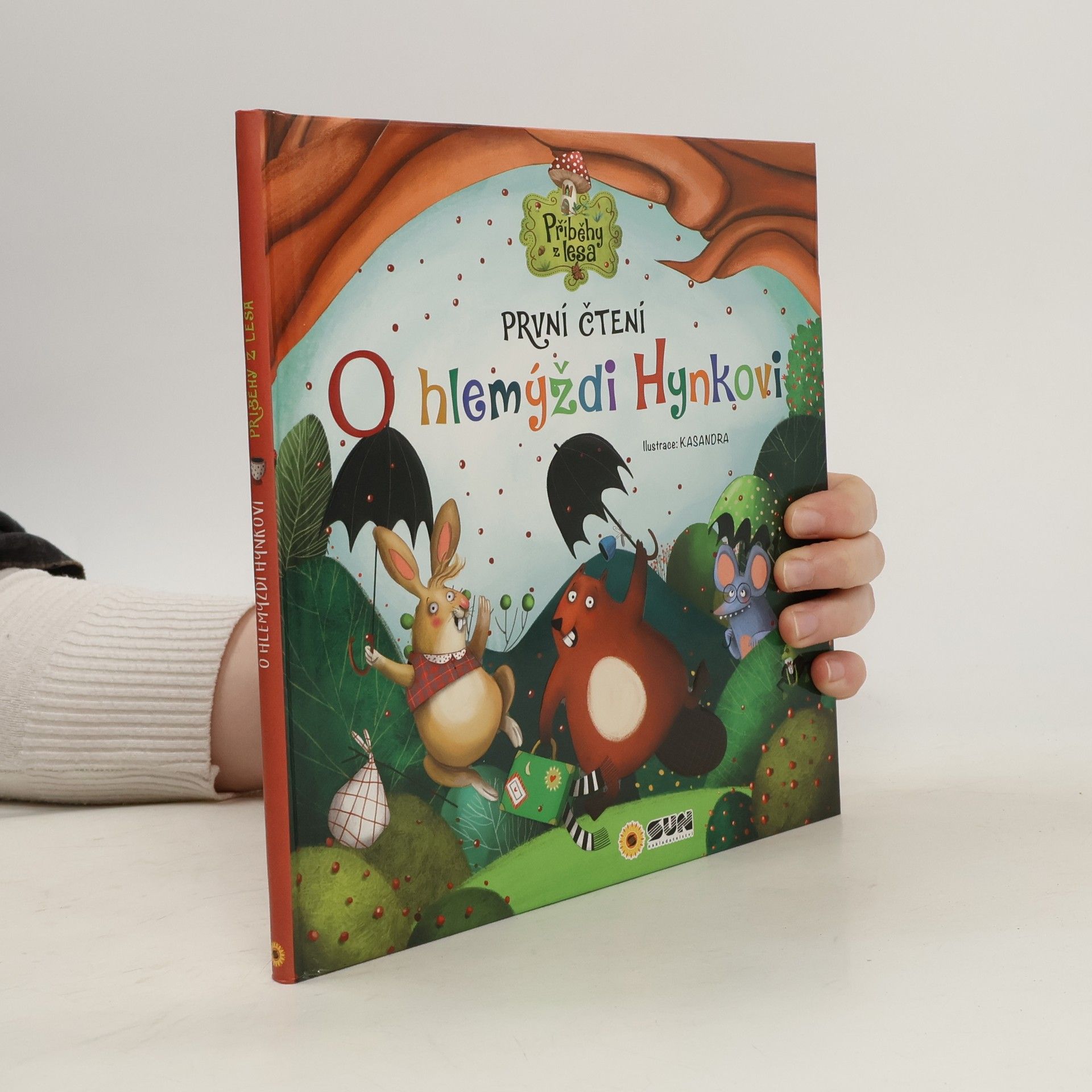 Autorenkollektiv O hlemýždi Hynkovi