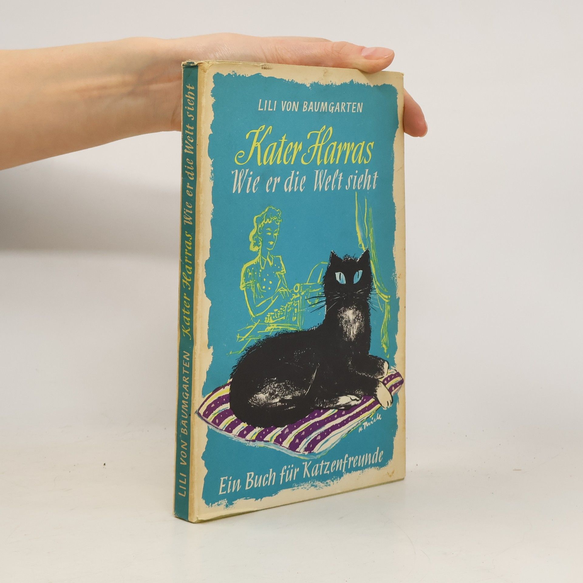 Lili von Baumgarten Wie er die Welt sieht