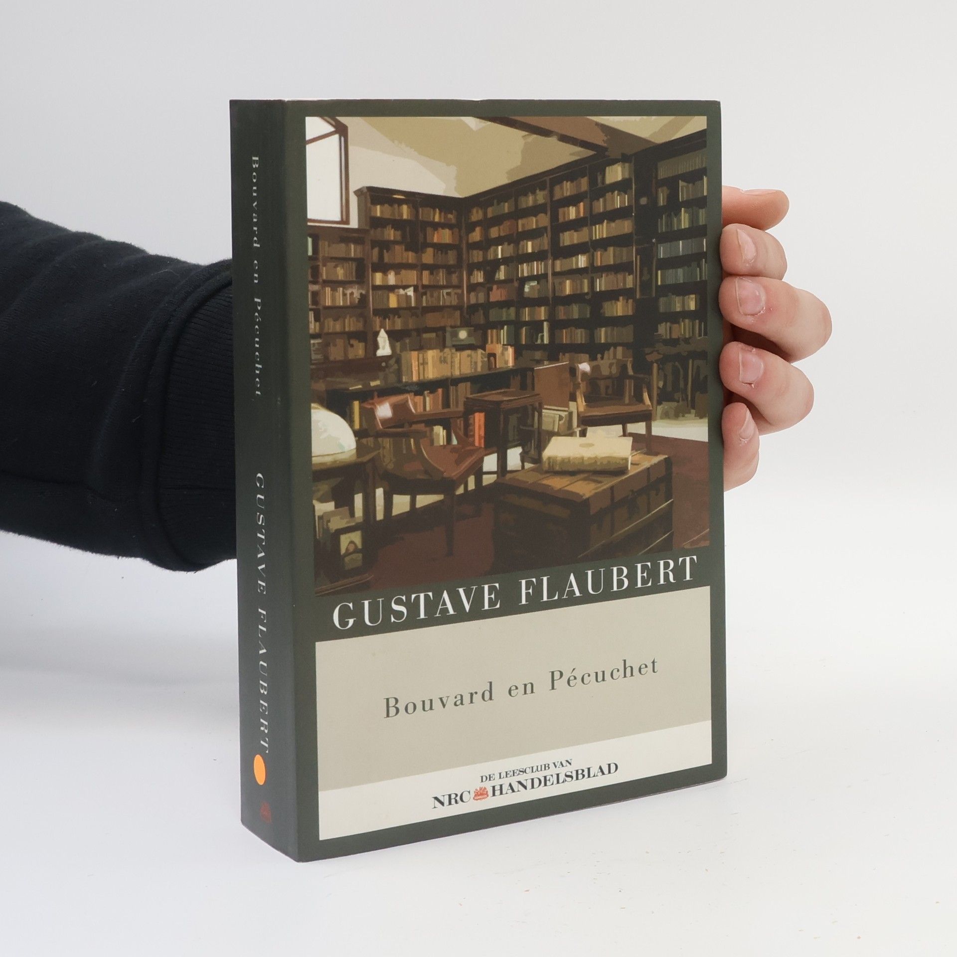 Gustave Flaubert Bouvard en Pécuchet