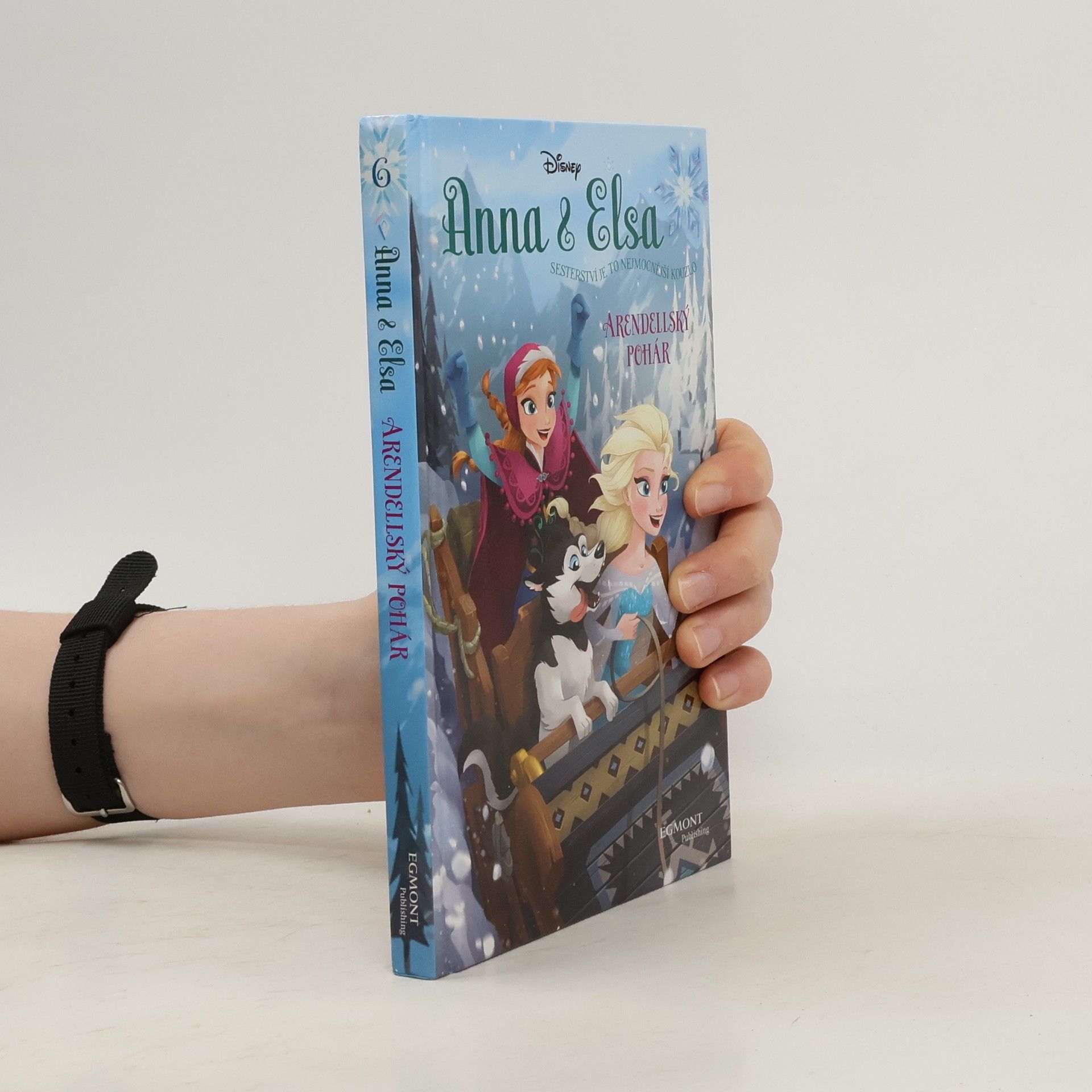 Erica David Arendellský pohár