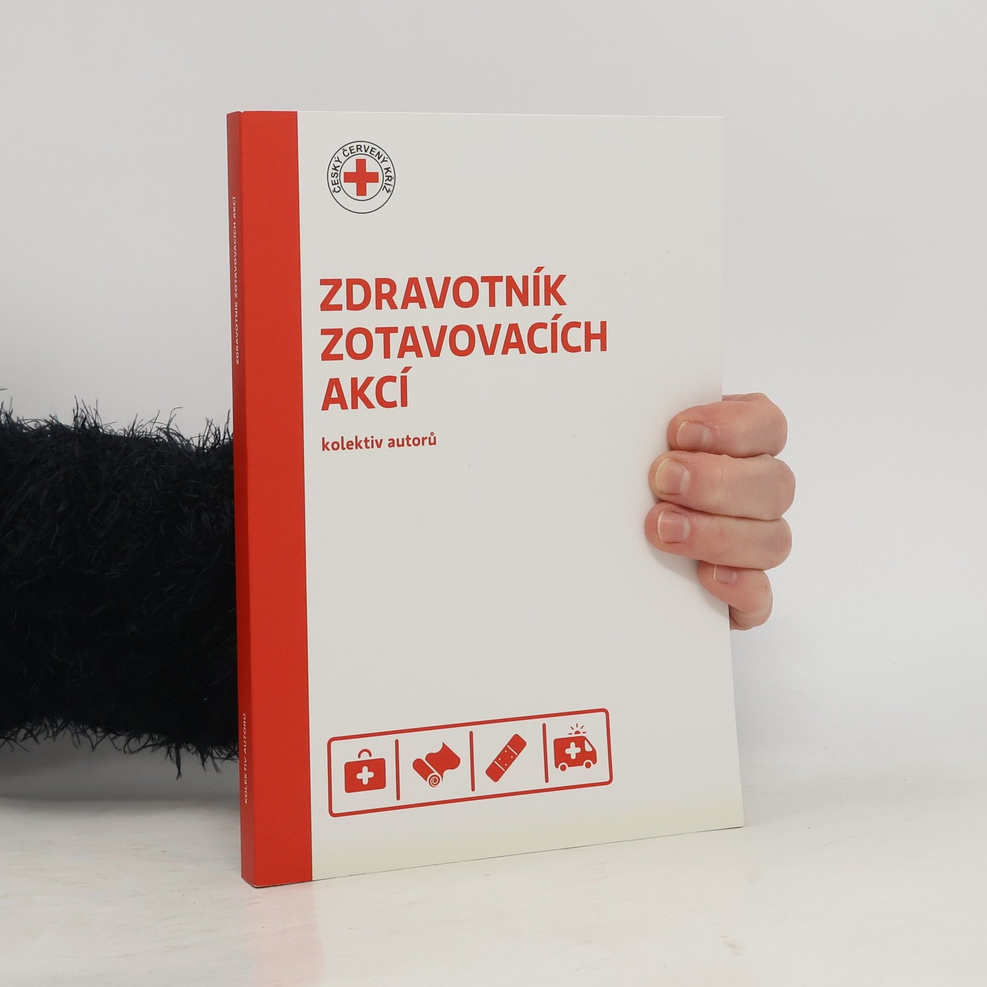 Autorenkollektiv Zdravotník zotavovacích akcí