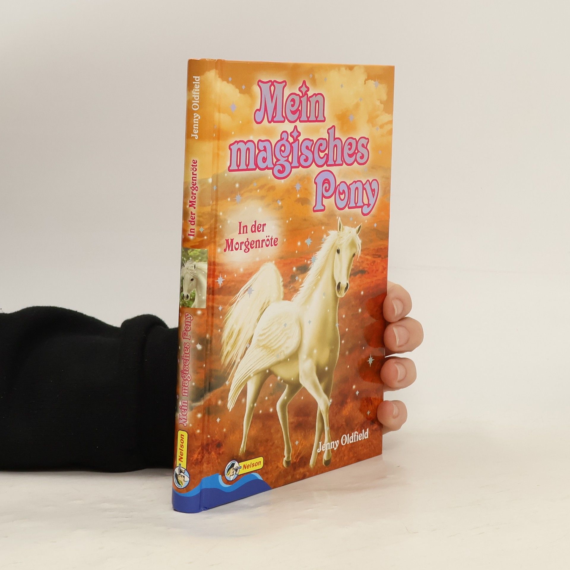 Jenny Oldfield Mein magisches Pony 6