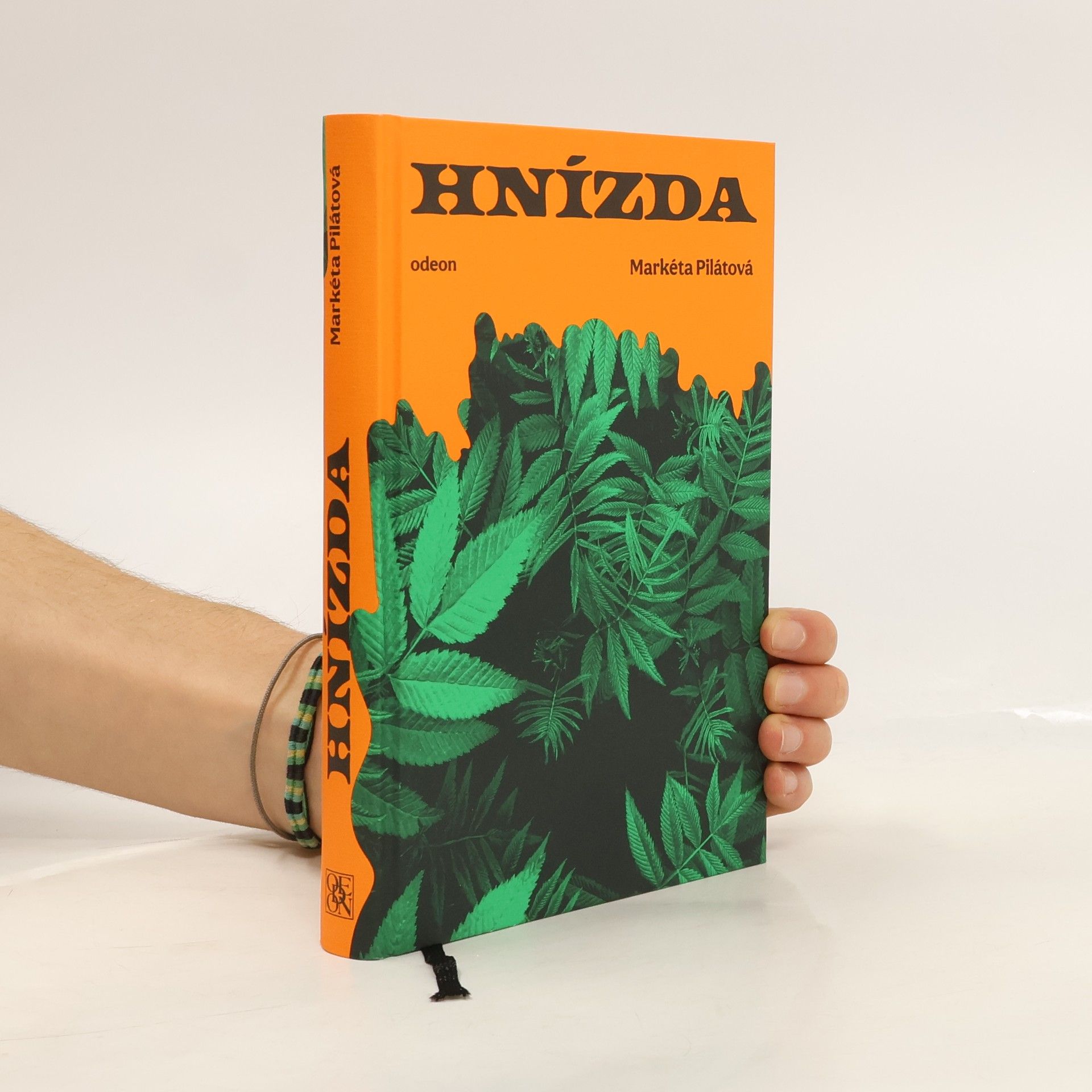 Markéta Pilátová Hnízda