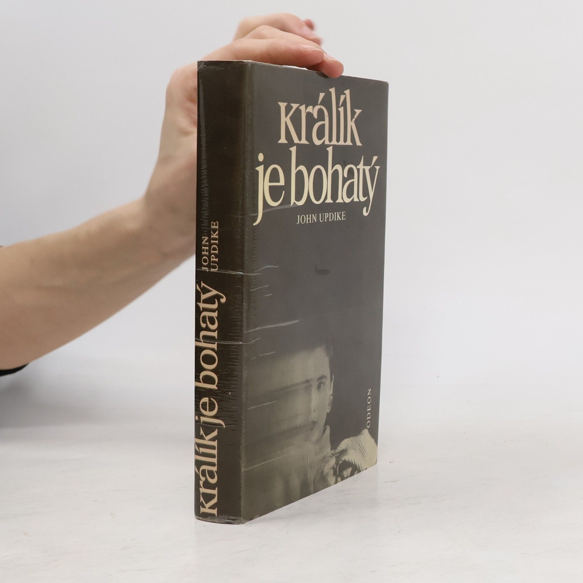 John Updike Králík je bohatý