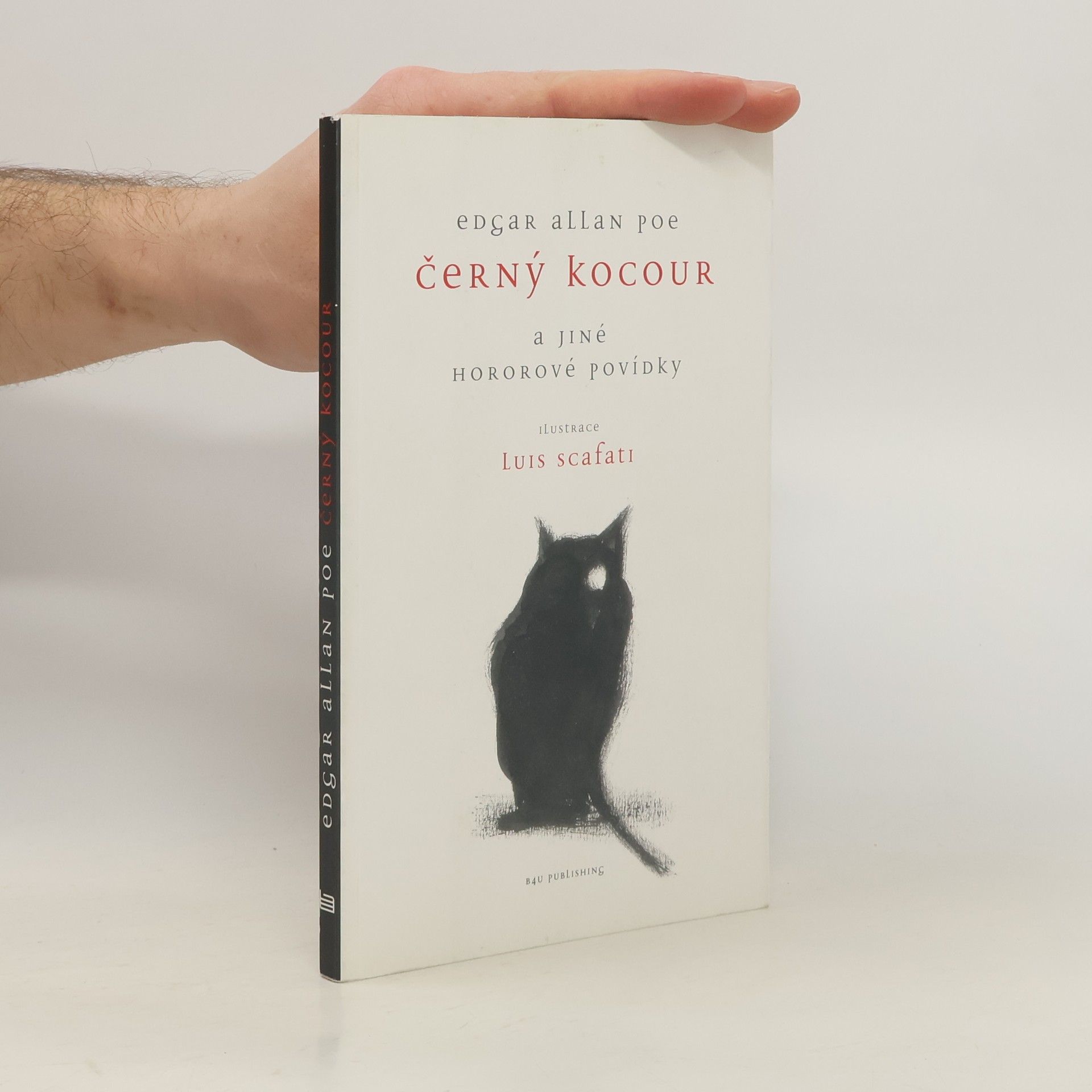 Edgar Allan Poe Černý kocour a jiné hororové povídky
