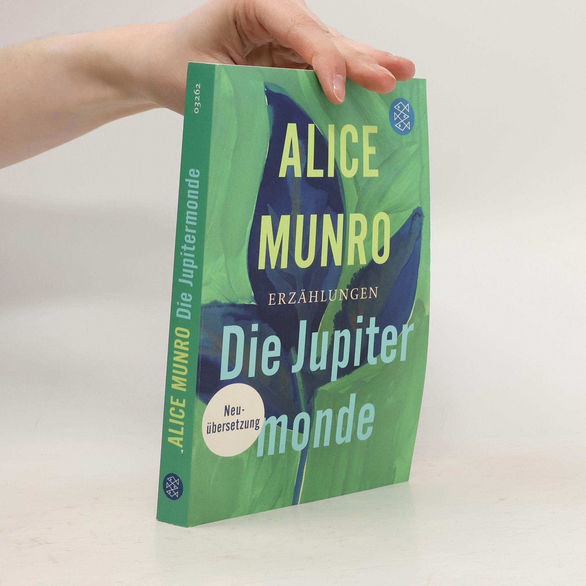 Alice Munro Die Jupitermonde
