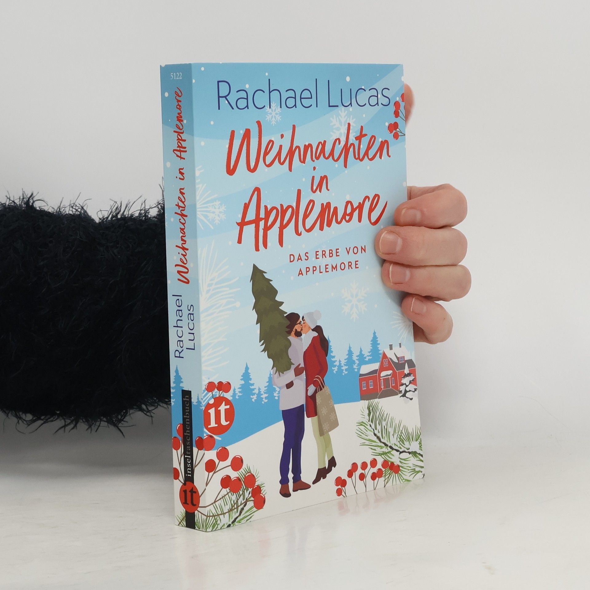 Rachael Lucas Das Erbe von Applemore - 4: Weihnachten in Applemore