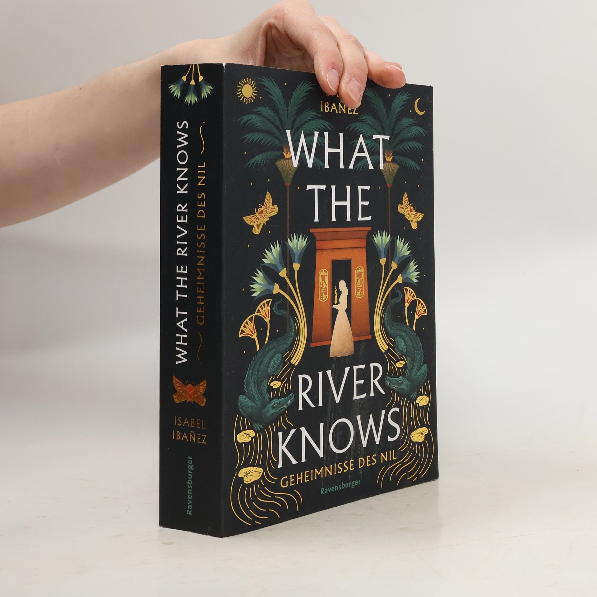 Isabel Ibañez What the river knows