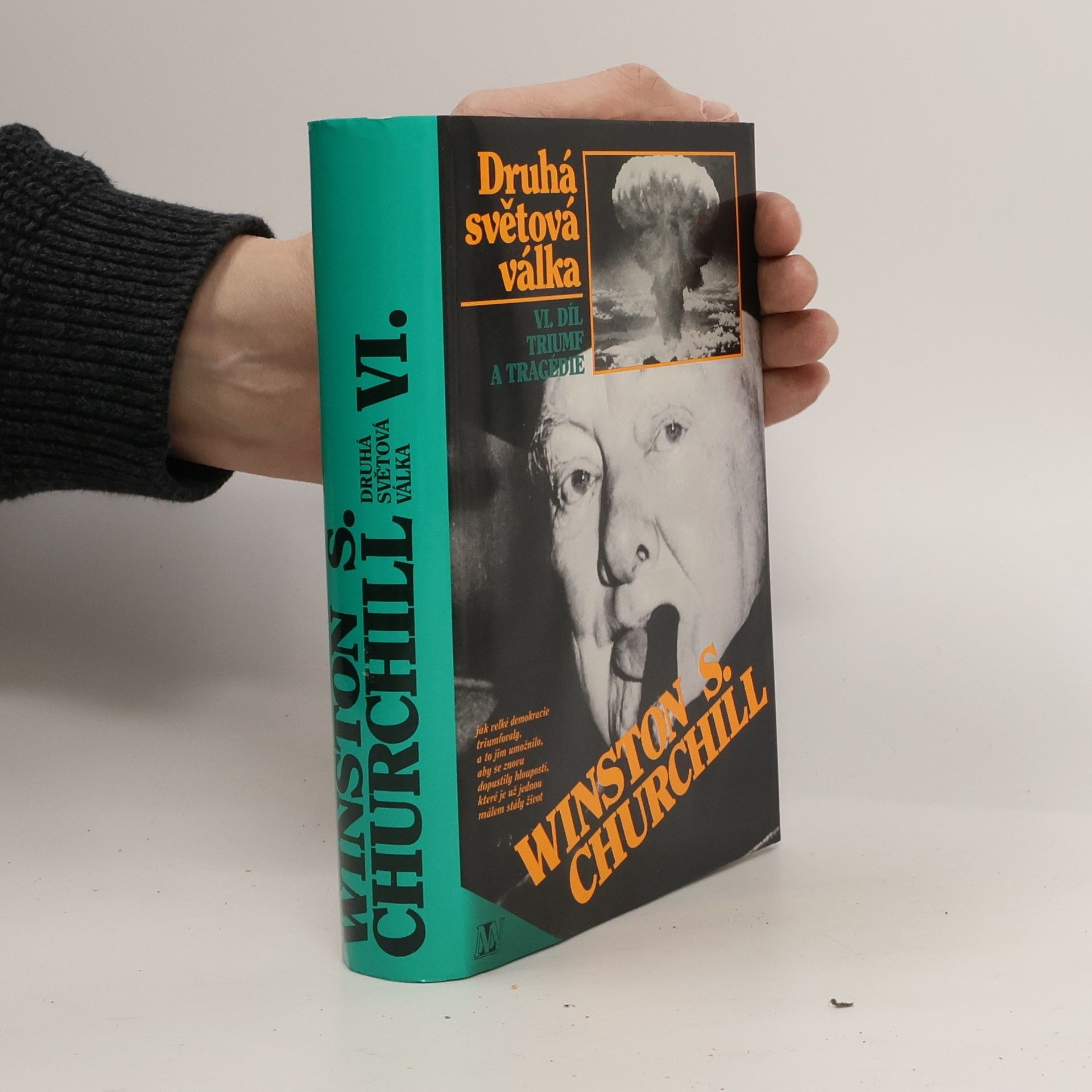 Druhá světová válka. VI. Triumf a tragédie