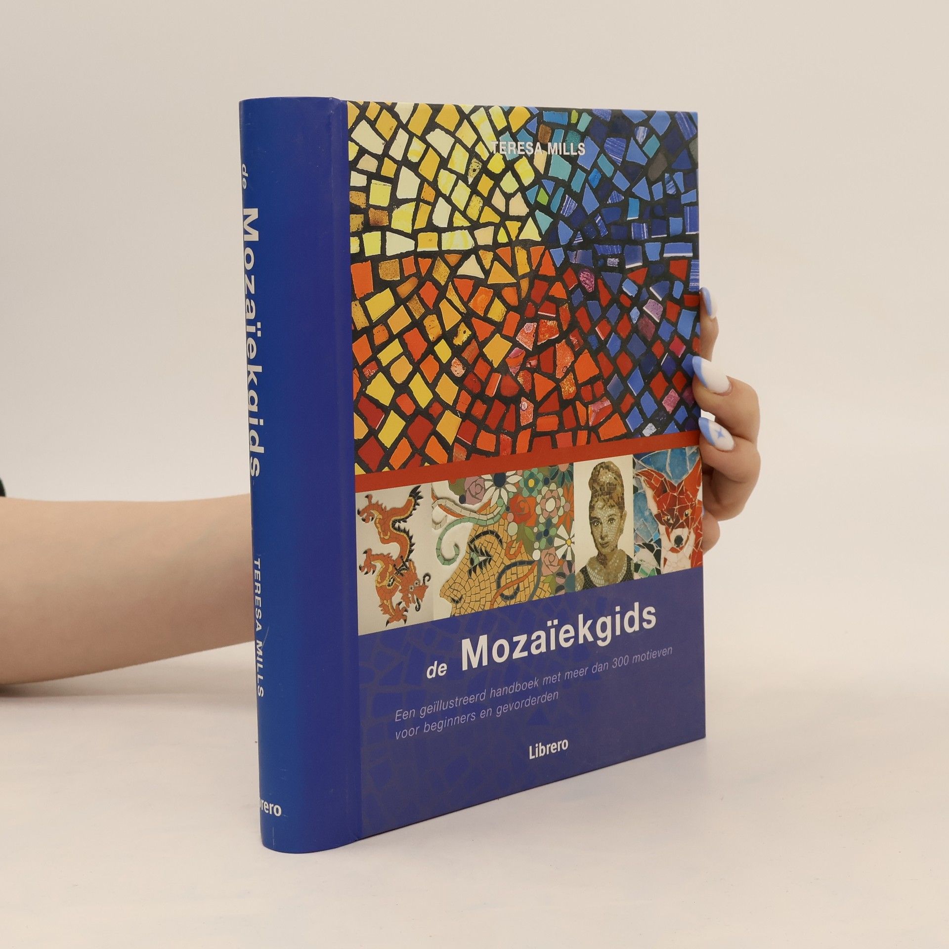 Teresa Mills De mozaïekgids