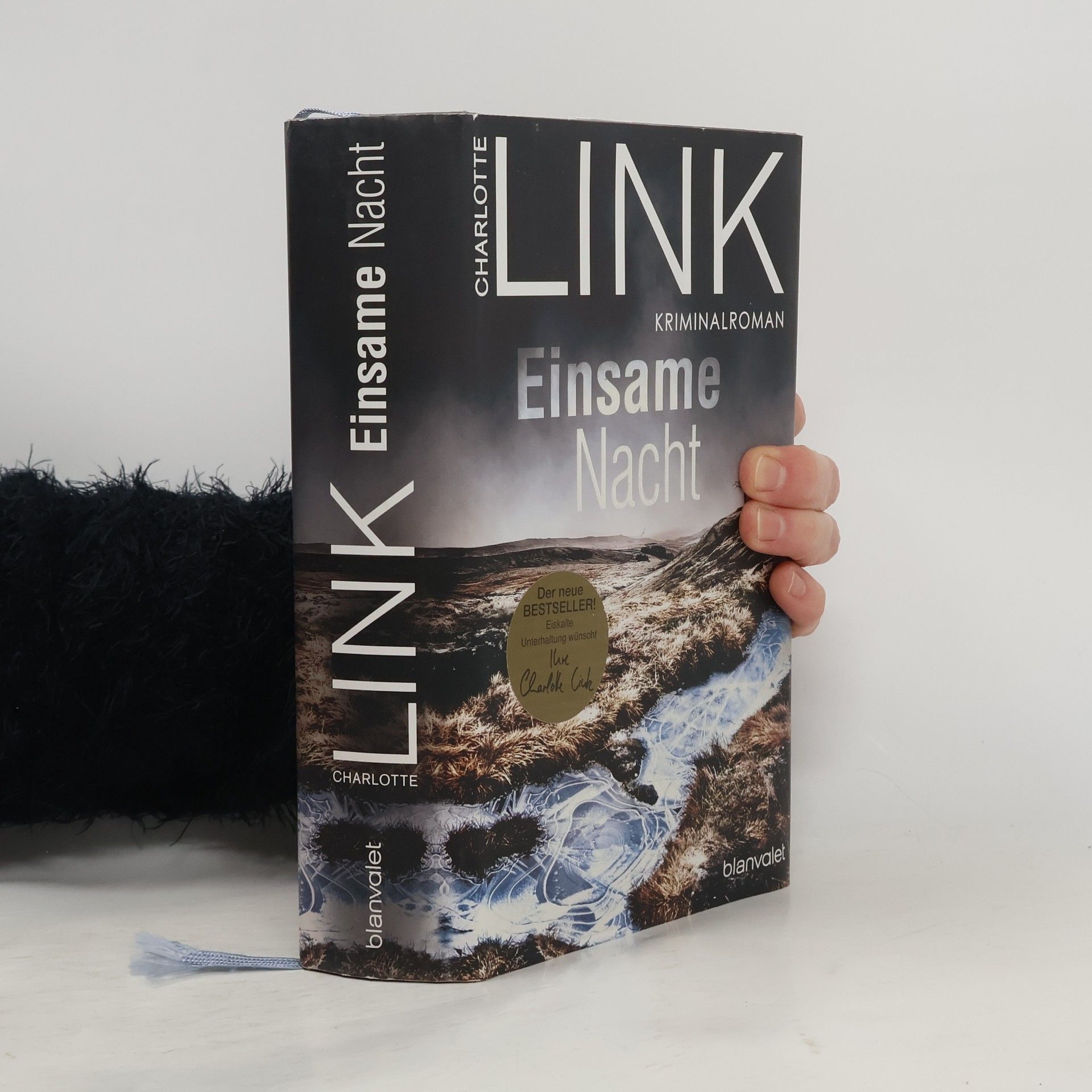 Charlotte Link Einsame Nacht