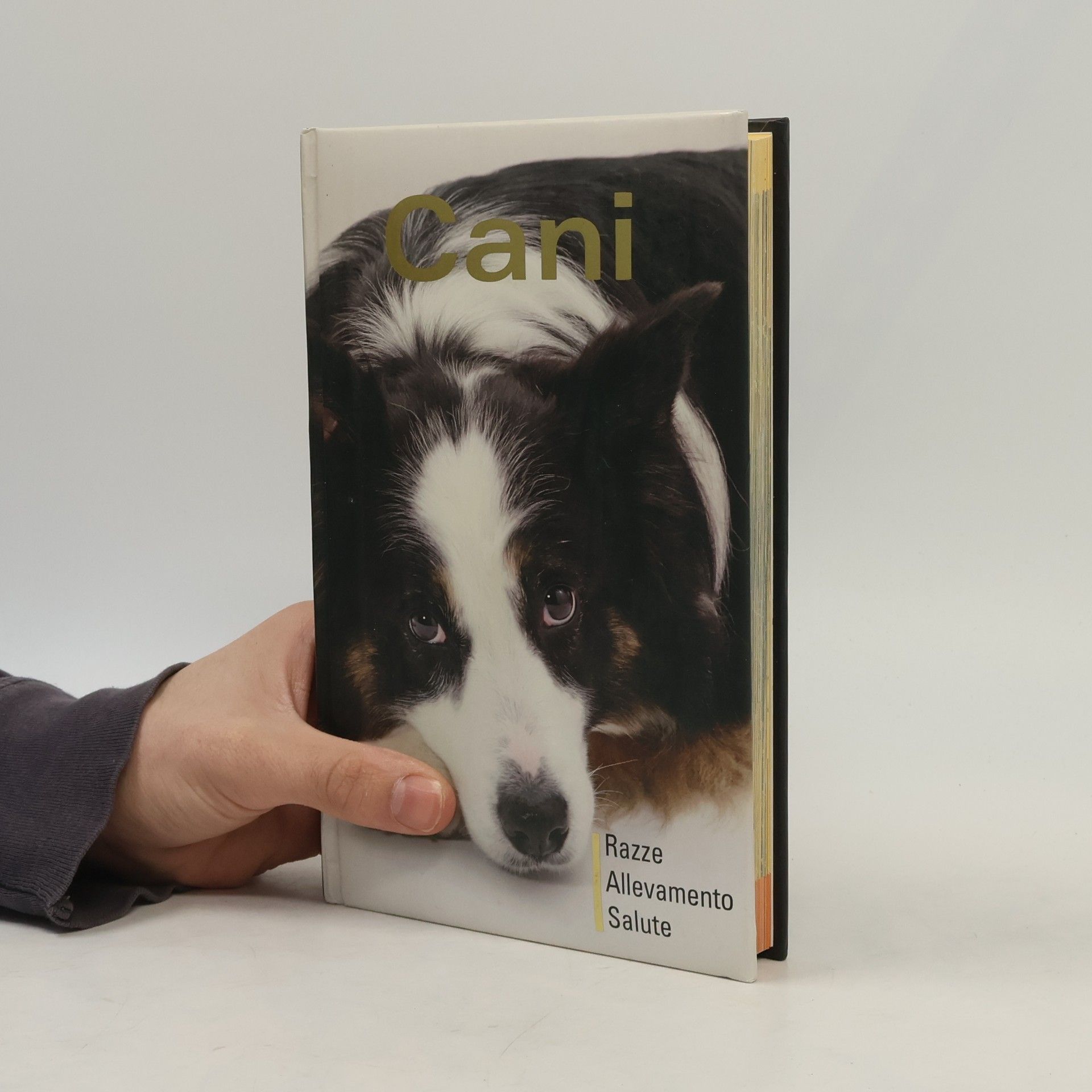 Kolektiv autorů Hunde