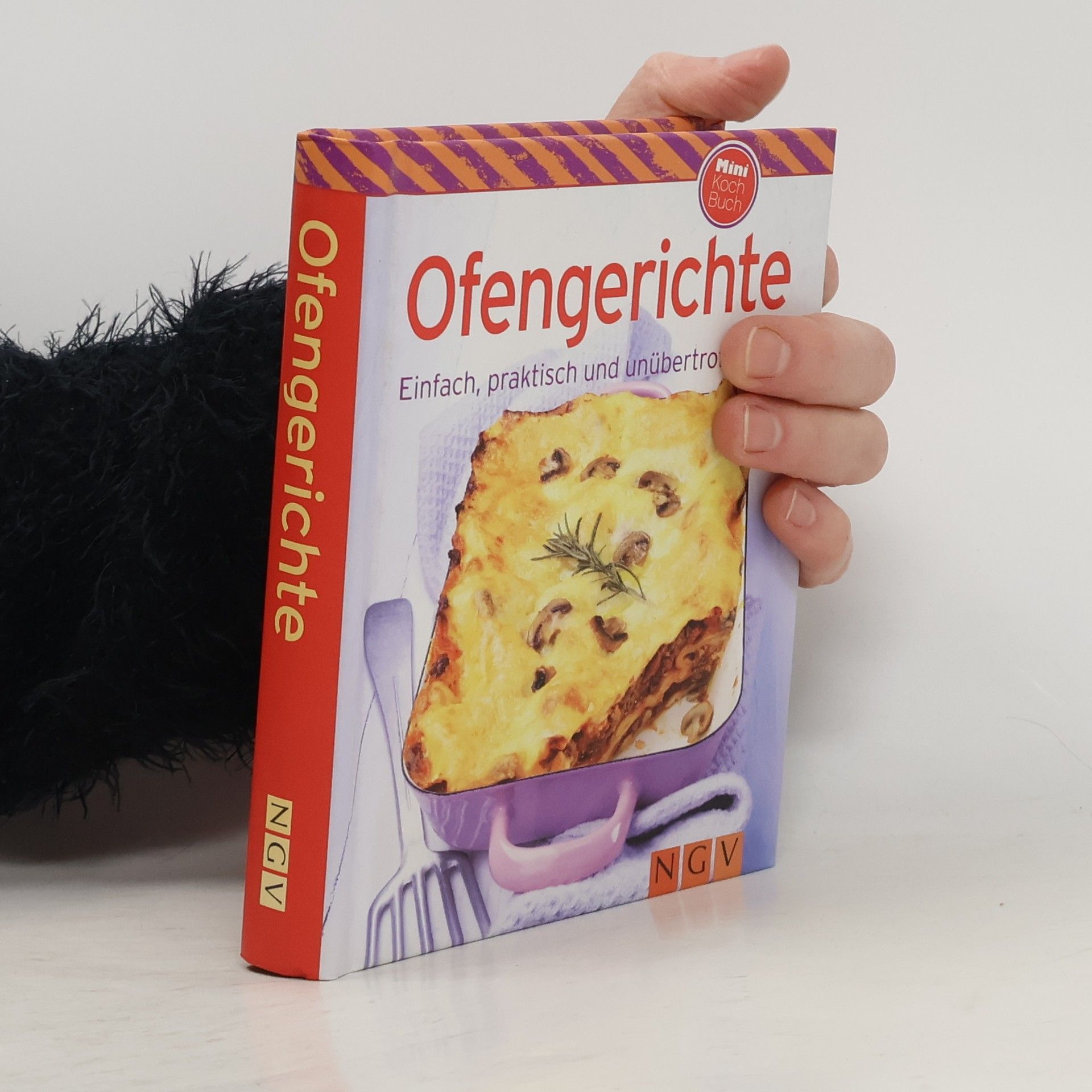 Kolektiv autorů Ofengerichte