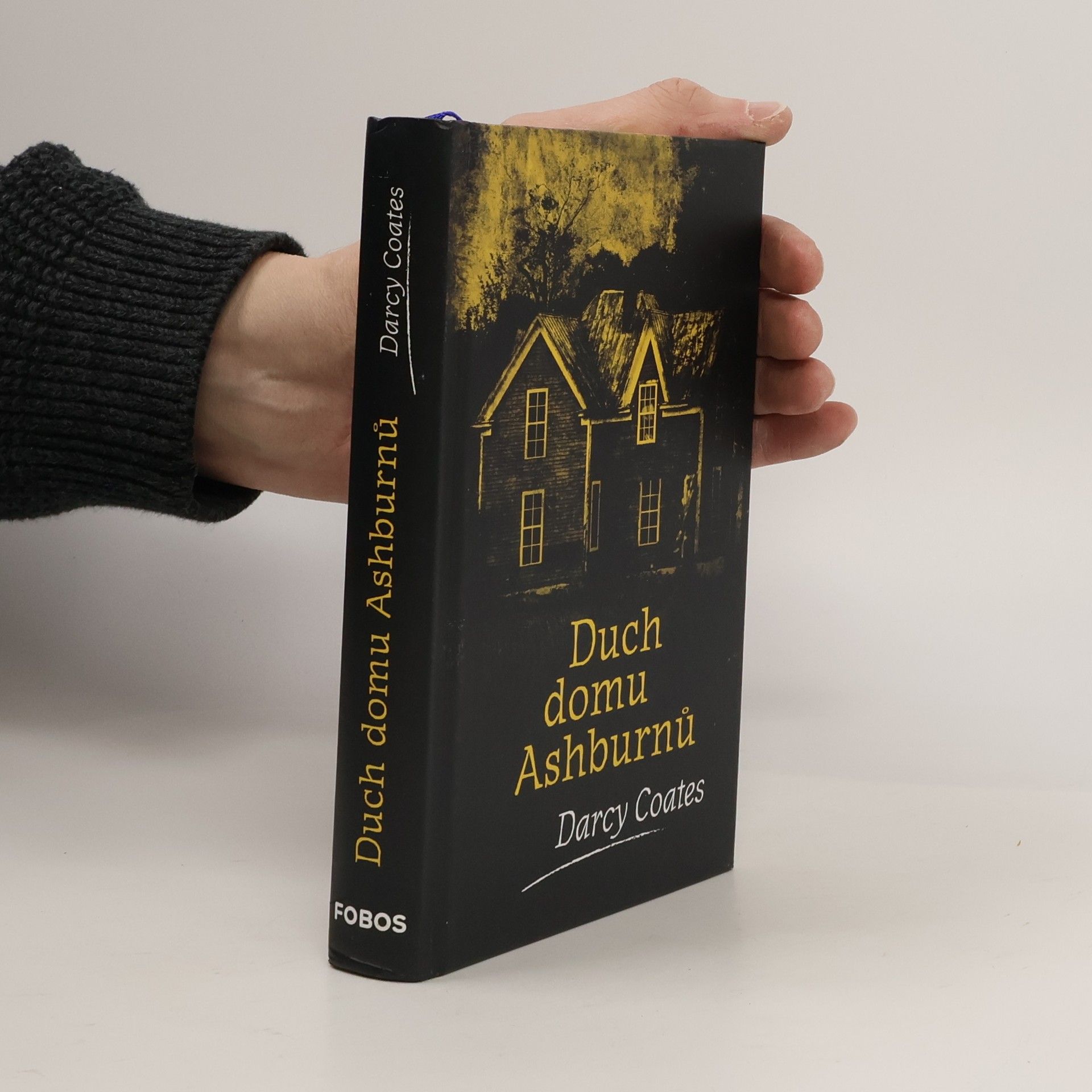 Darcy Coates Duch domu Ashburnů