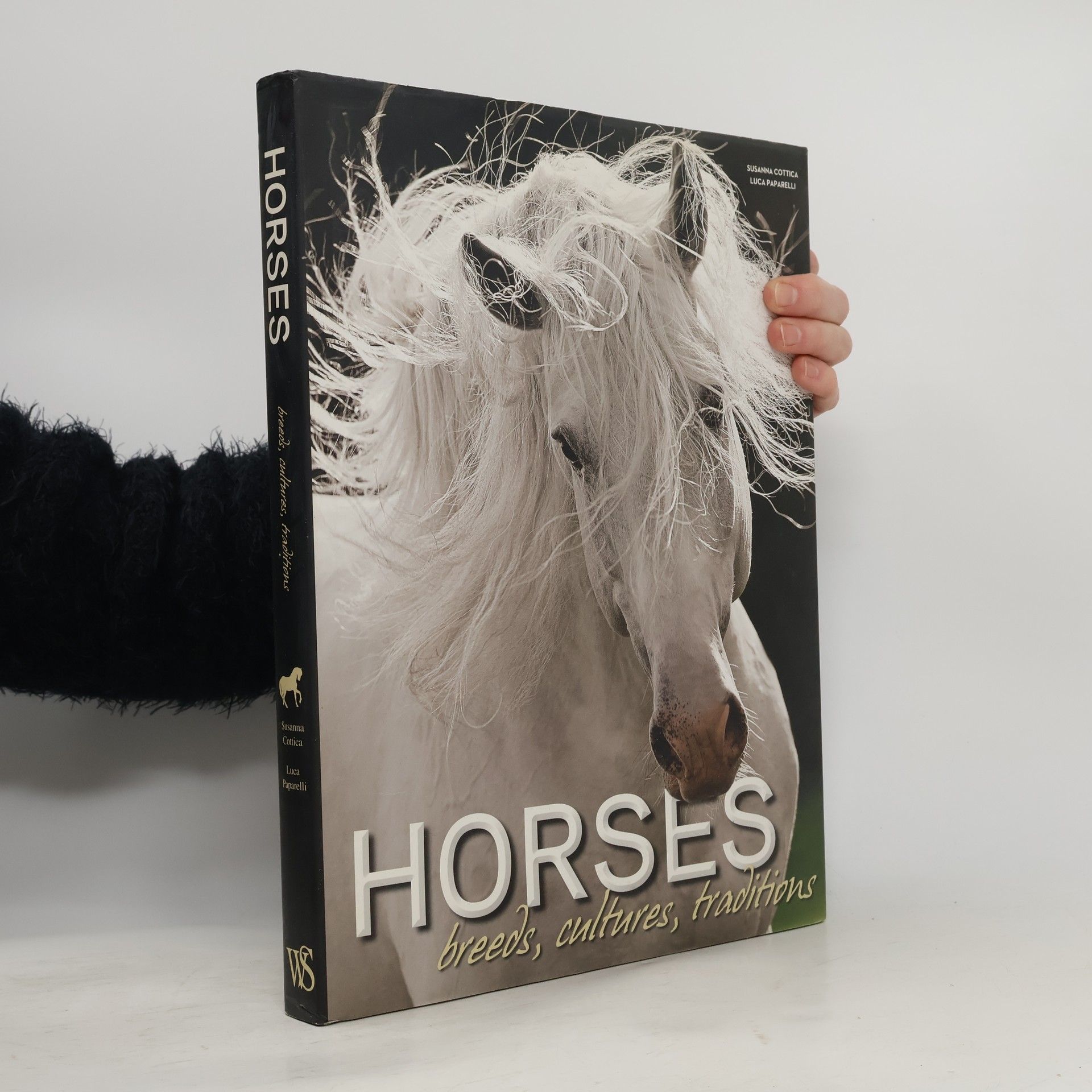 Susanna Cottica Horses