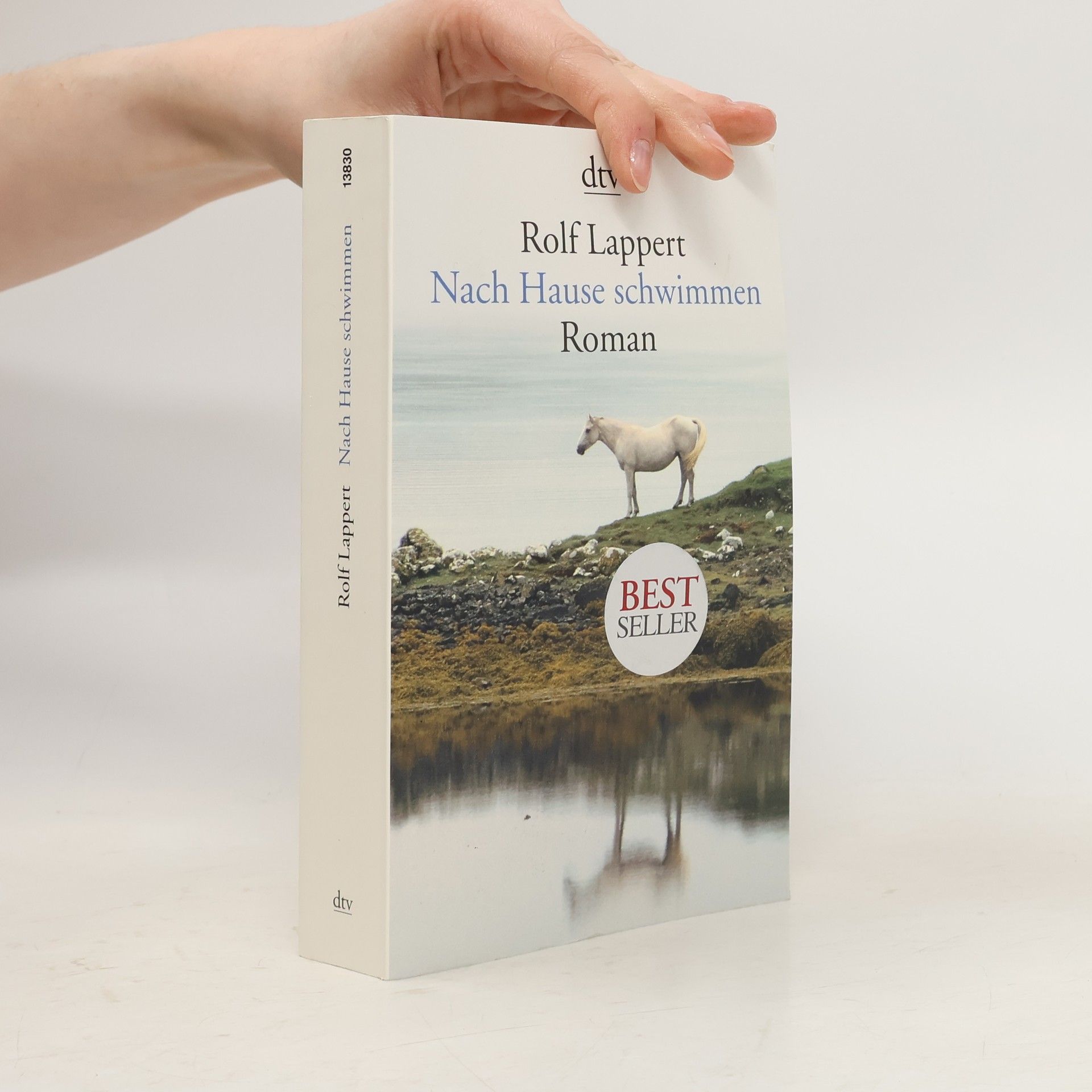 Rolf Lappert Nach Hause schwimmen