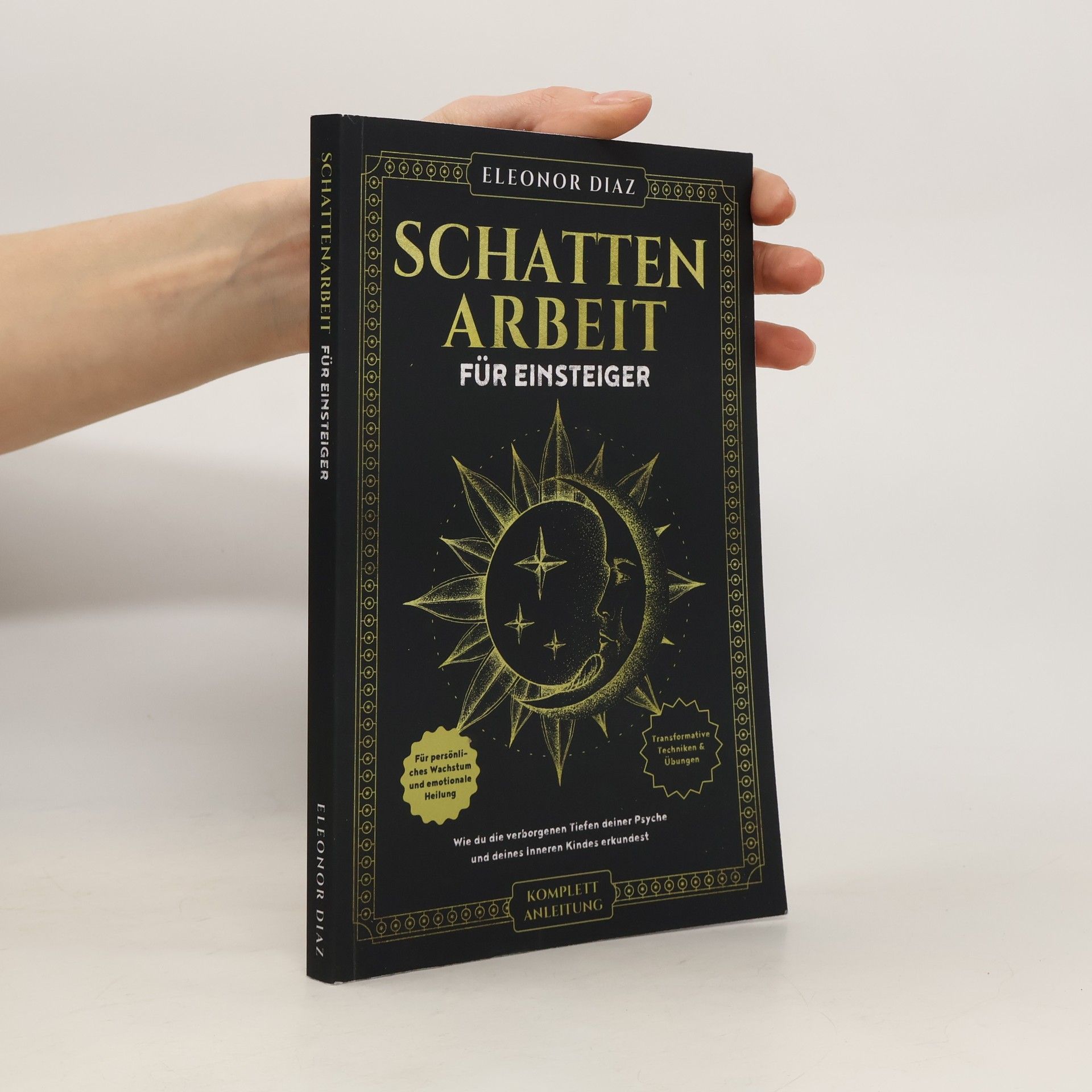 Schattenarbeit für Einsteiger