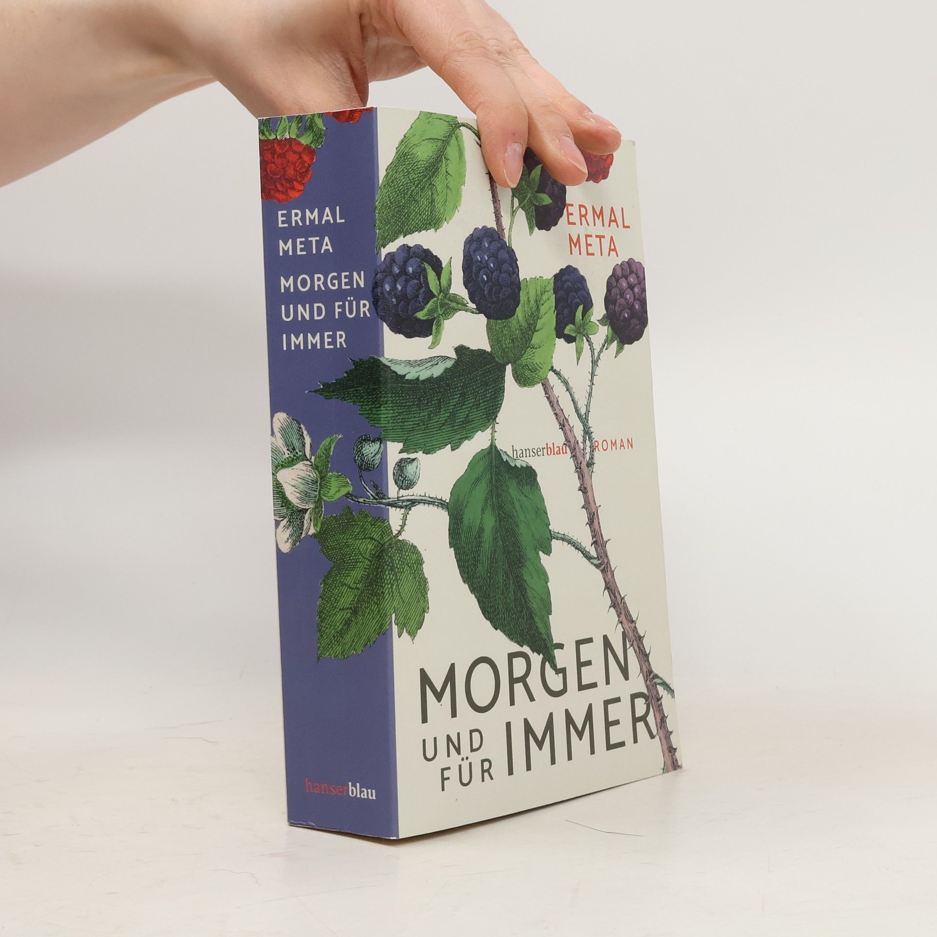 Ermal Meta Morgen und für immer