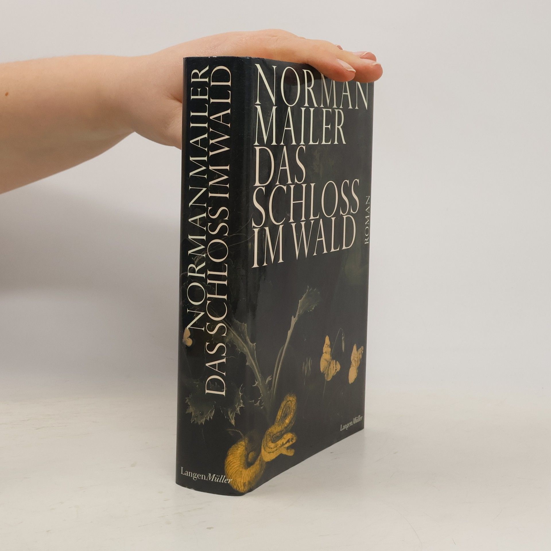 Norman Mailer Das Schloss im Wald