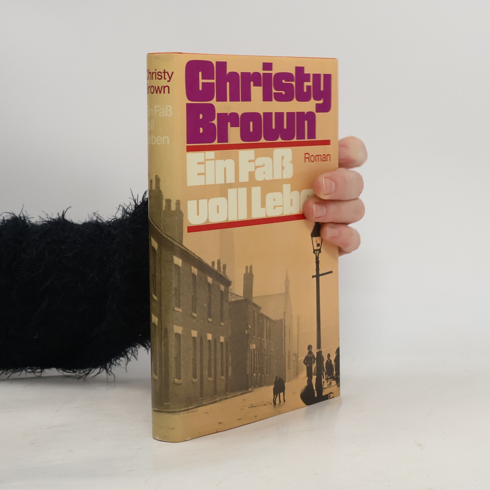 Christy Brown Ein Fass voll Leben