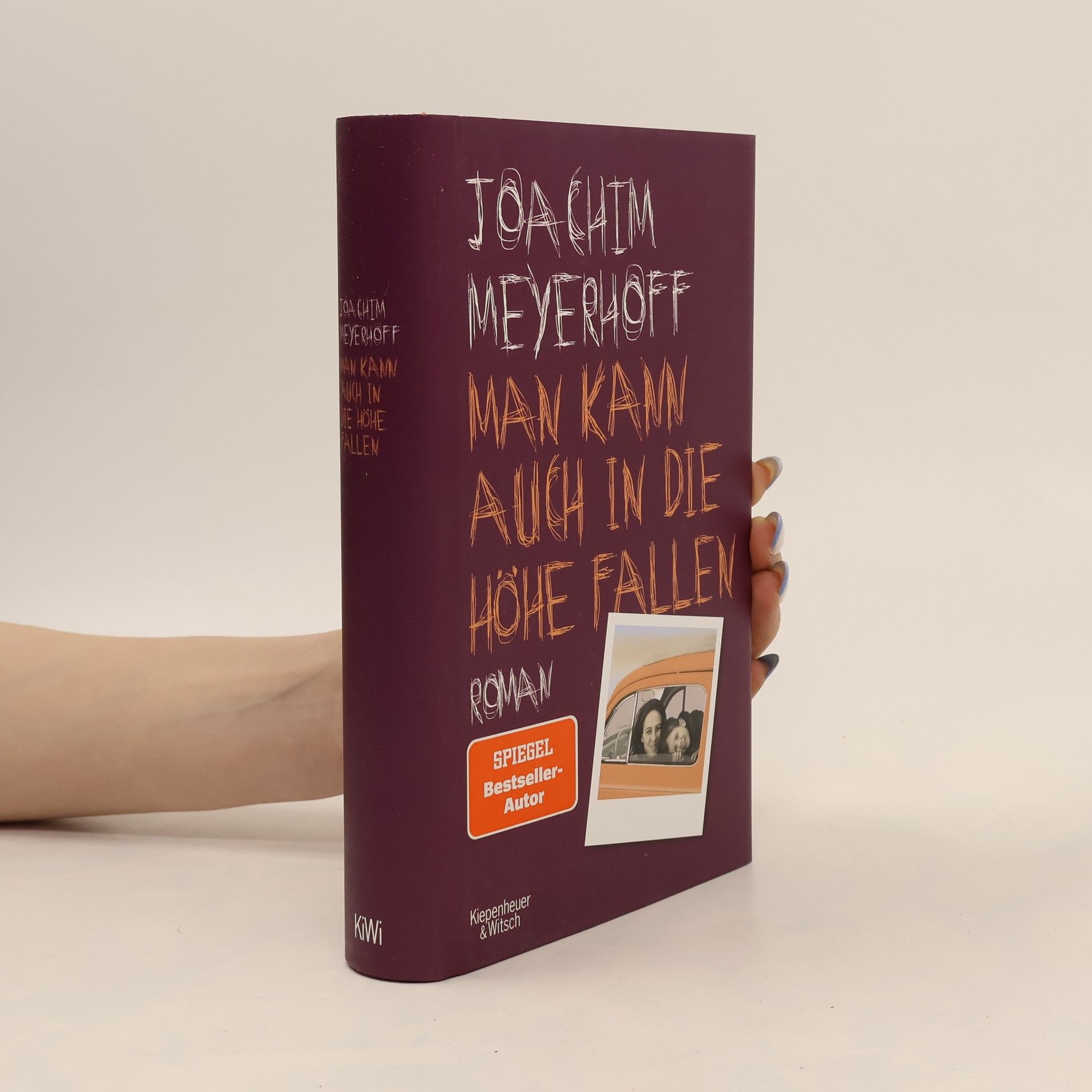 Joachim Meyerhoff Man kann auch in die Höhe fallen