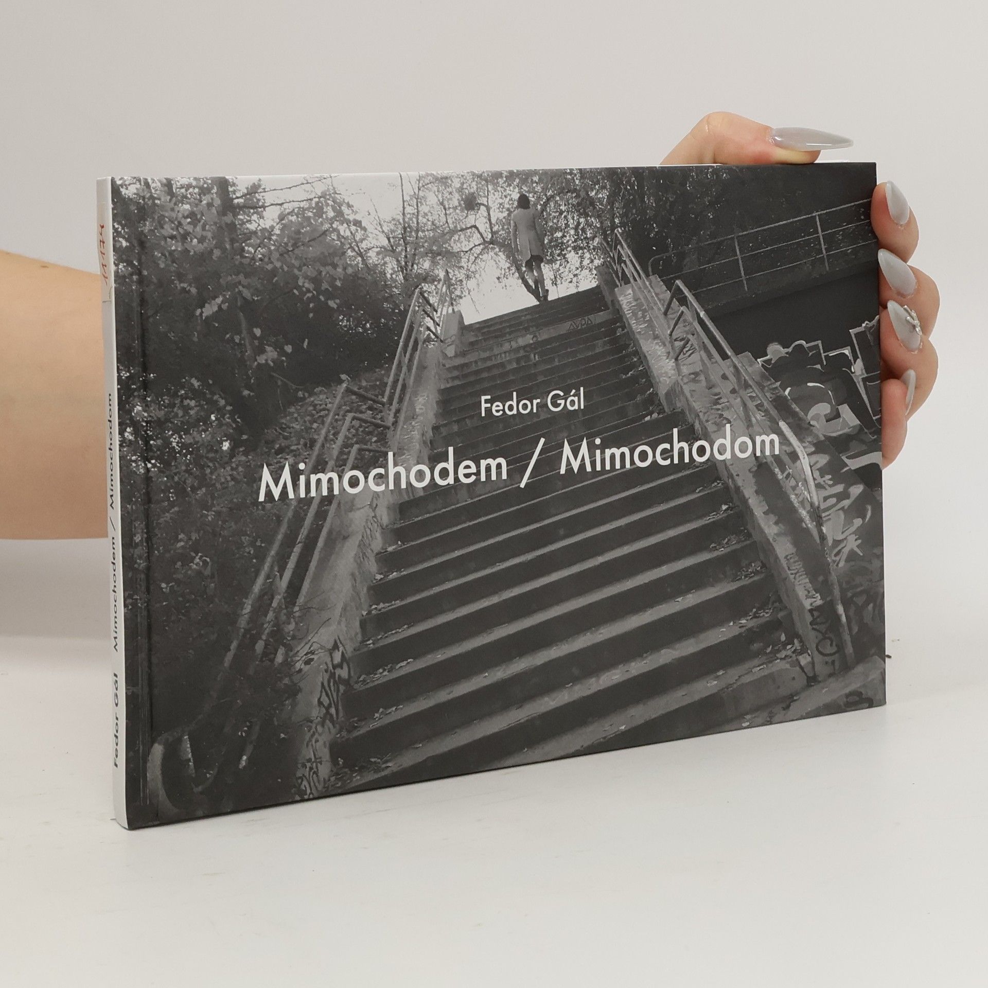 Fedor Gál Mimochodem / Mimochodom