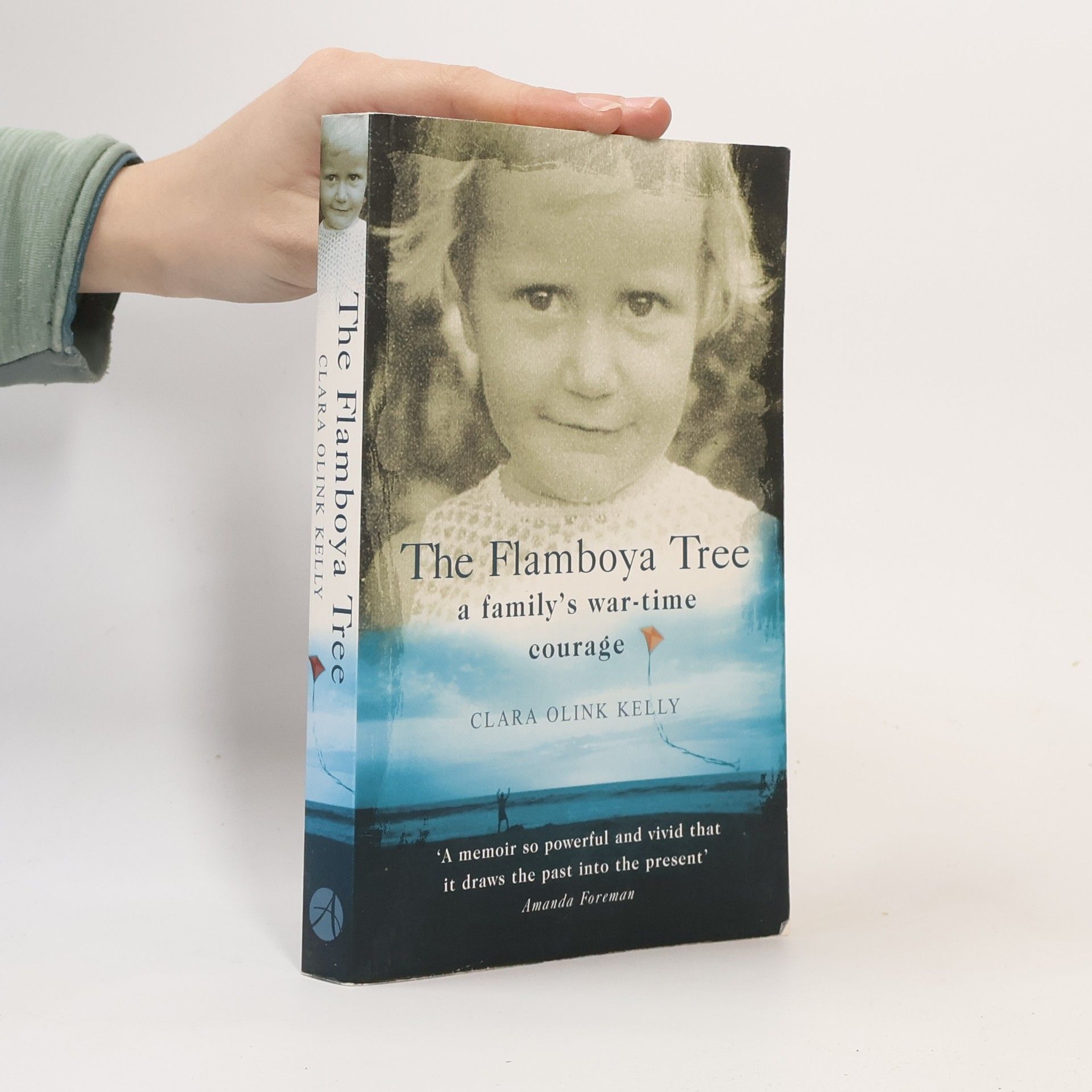 Clara Olink Kelly The Flamboya Tree