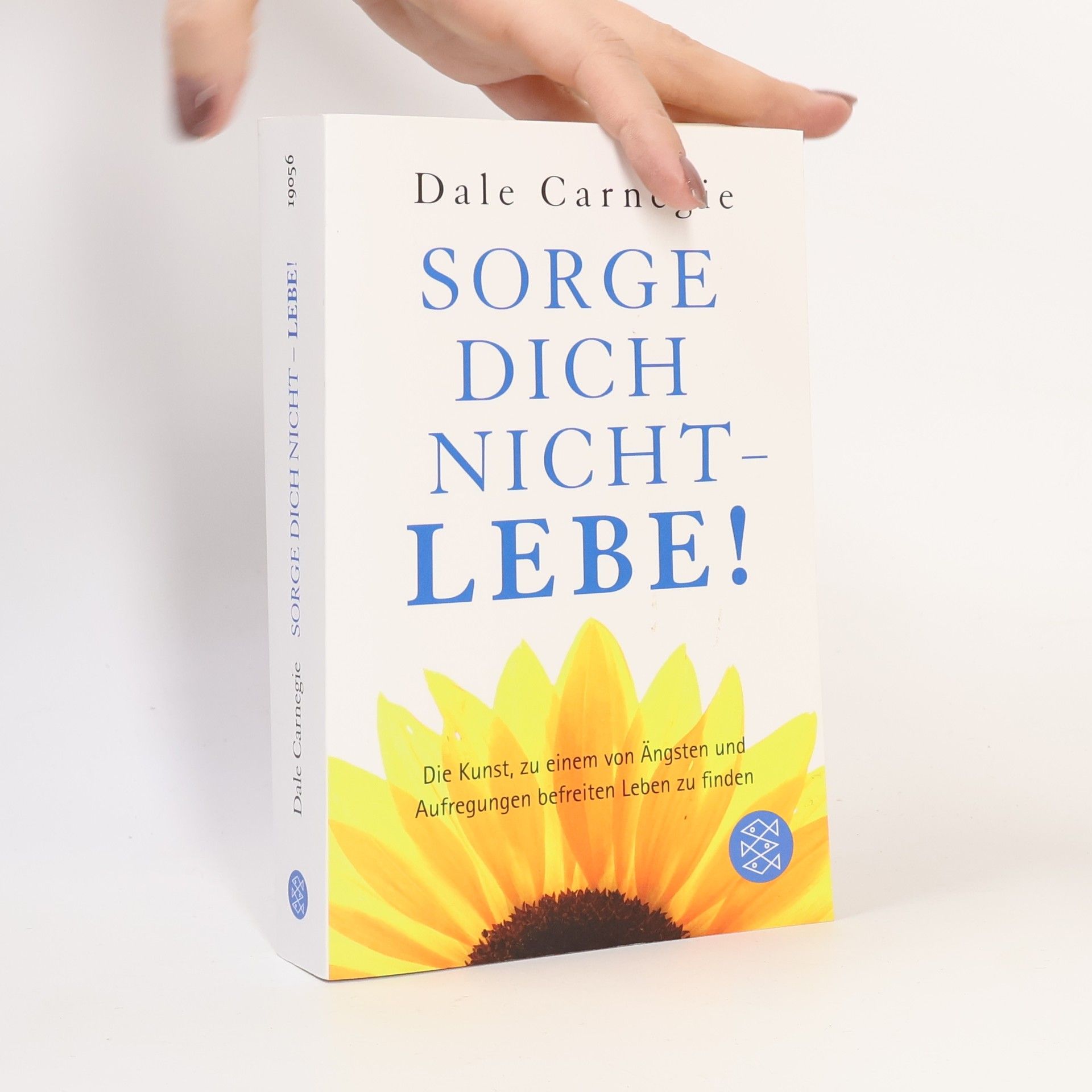 Dale Carnegie Sorge dich nicht - lebe!